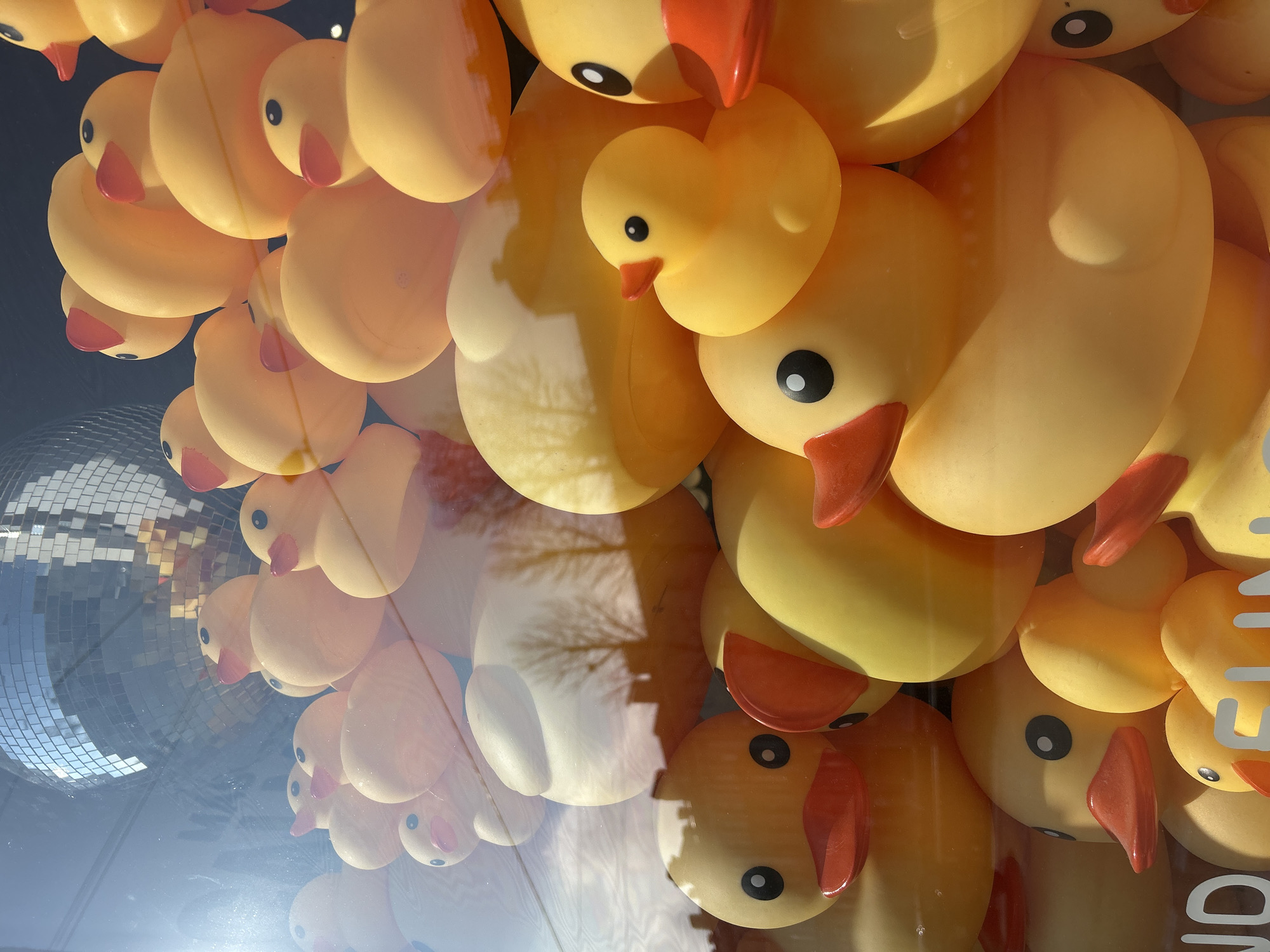 A close-up, angled view showcases a multitude of bright yellow rubber ducks, packed tightly together. The ducks are mostly facing the viewer, their round bodies and red beaks clearly visible. Some have black dot eyes, while others are obscured or turned away. The lighting suggests it might be daytime, with sunlight casting highlights and shadows on the smooth plastic surfaces of the ducks.
In the background, a disco ball, covered in small square reflective tiles, adds a touch of playful sparkle and hints at a festive or whimsical atmosphere. The reflection of what appears to be trees and sky can be seen on the surface of the disco ball and through the glass in front of the ducks, suggesting the ducks might be displayed in a window or a glass enclosure. There is no visible text in the image. The overall impression is one of abundance and cheerfulness, with the sheer number of rubber ducks creating a sense of playful chaos.