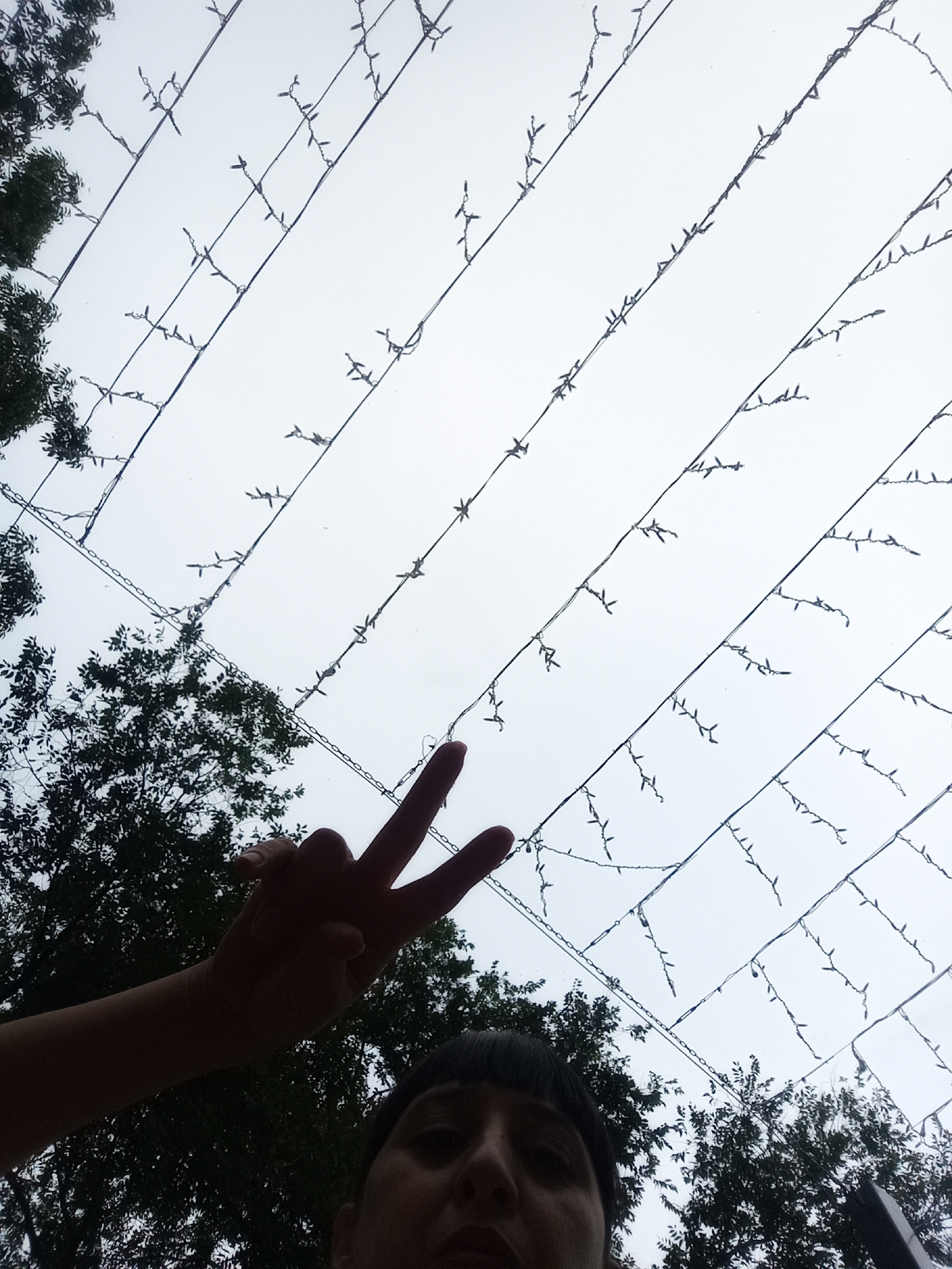In an outdoor setting with a white, overcast sky, strings of small lights are suspended above. Trees with dark green foliage are visible on the left and right sides, and in the lower portion of the image. A person is partially visible in the foreground. Their left arm and hand are extended upwards, forming a peace sign with their fingers. The person's face is also visible in the lower right corner, looking towards the camera. The overall scene suggests a festive or decorative outdoor space.