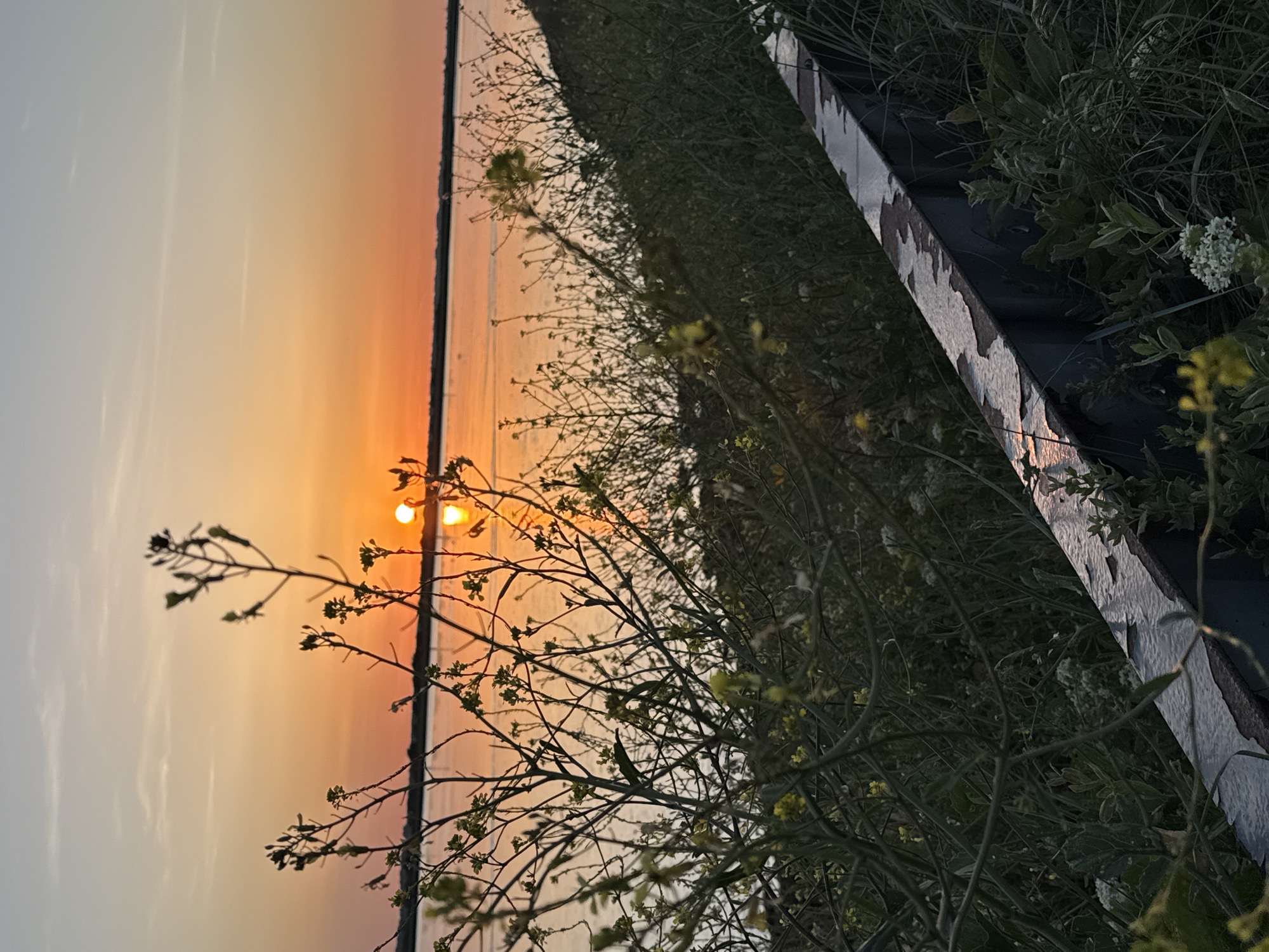 A low-angle, eye-level photograph depicts a sunset scene adjacent to an industrial area in Great Yarmouth, United Kingdom. The sun sets behind a body of water, appearing as a diffused orange orb. Vegetation, including weeds with yellow flowers, occupies the right side of the frame, partially obscuring a metal structure along a raised walkway or embankment. The lighting is subdued, with the sun's glow creating backlighting for the plants and casting shadows. The sky transitions from a light blue to orange and then into the diffused warm colours of the sunset, reflecting upon the water.