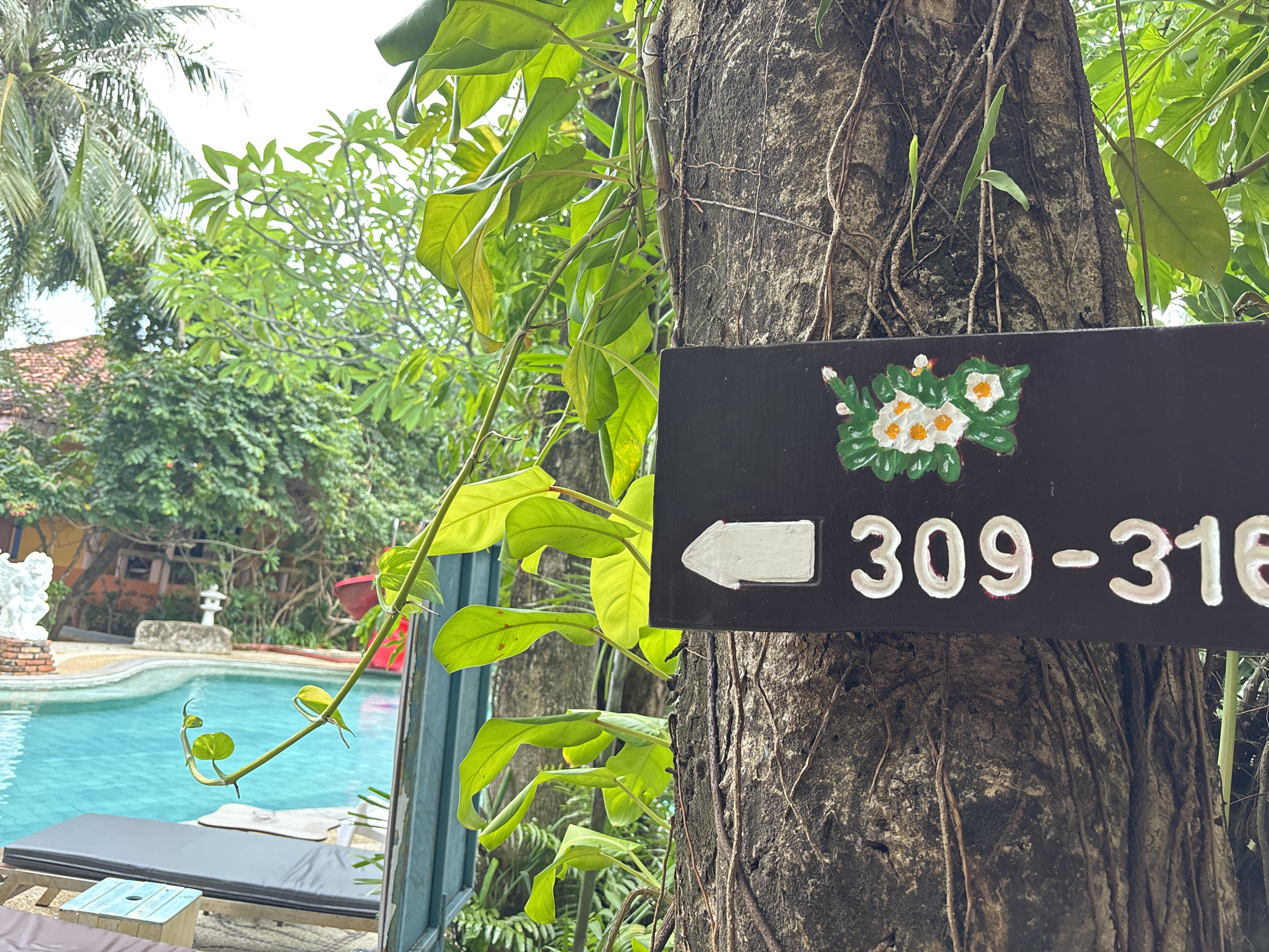 A black sign with white lettering is attached to a tree trunk. The sign features a small floral motif on the left, followed by the numbers "309-316" in white. To the left of the numbers is a white arrow pointing left. In the background, a swimming pool with turquoise water is visible, surrounded by lush green foliage and trees, indicative of a tropical environment. The architecture suggests a building with red-tiled roofs, common in Southeast Asian regions like Chalong, Thailand. The scene appears to be an outdoor common area, possibly at a resort or hotel, given the presence of lounge chairs near the pool. No people are visible in the image.