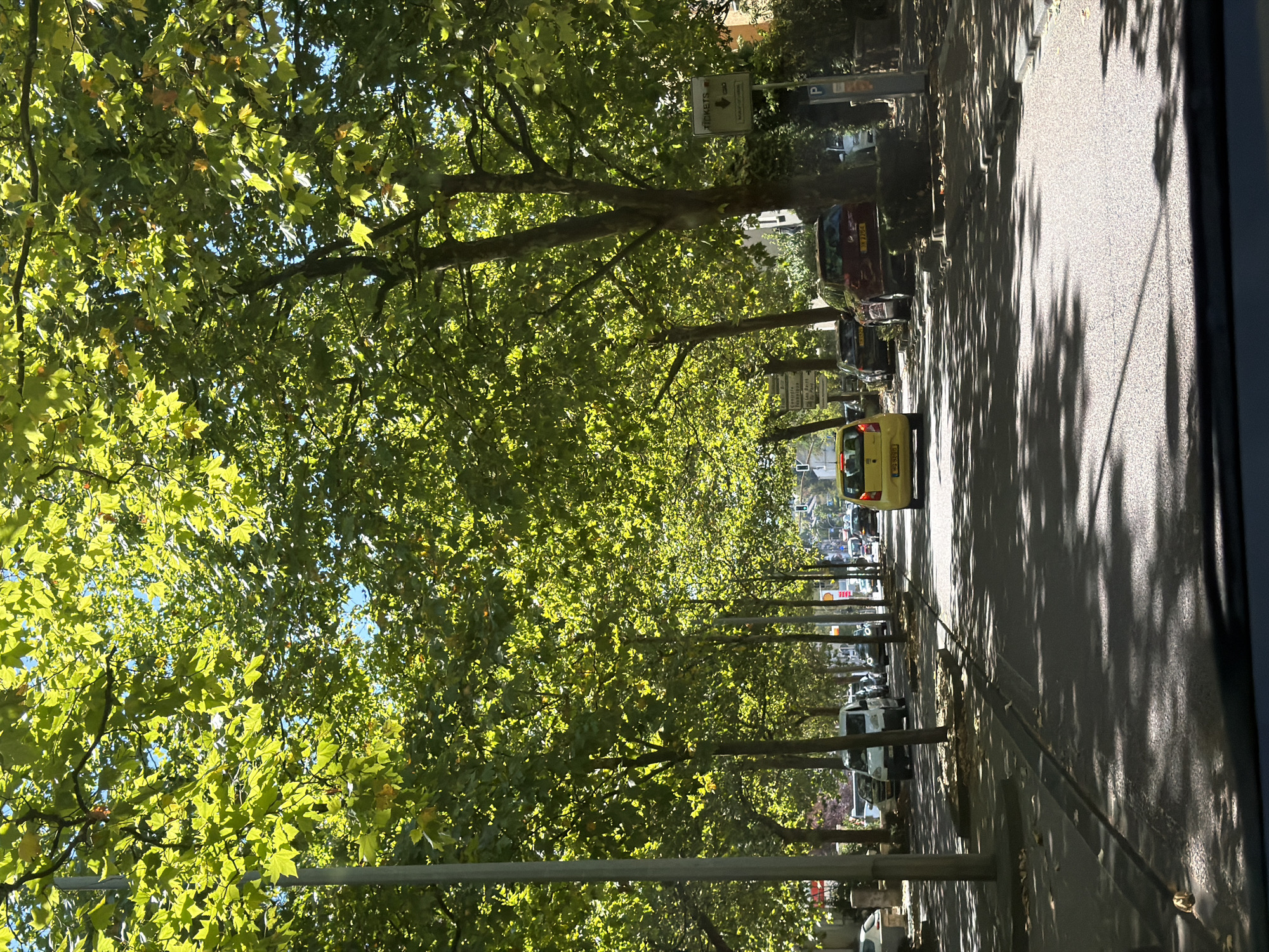 The image shows a street scene in Esch-sur-Alzette, Luxembourg, lined with large trees that create a canopy of green leaves overhead, dappling the road with sunlight and shadows. Several cars are visible on the street, including a yellow car in the foreground. On the right side of the street, there is a parking sign and a ticket machine. Traffic signals are visible in the distance. The road appears to be asphalt, and there is a sidewalk on the left side of the street with parked cars. The overall impression is a well-maintained urban environment with significant green spaces.