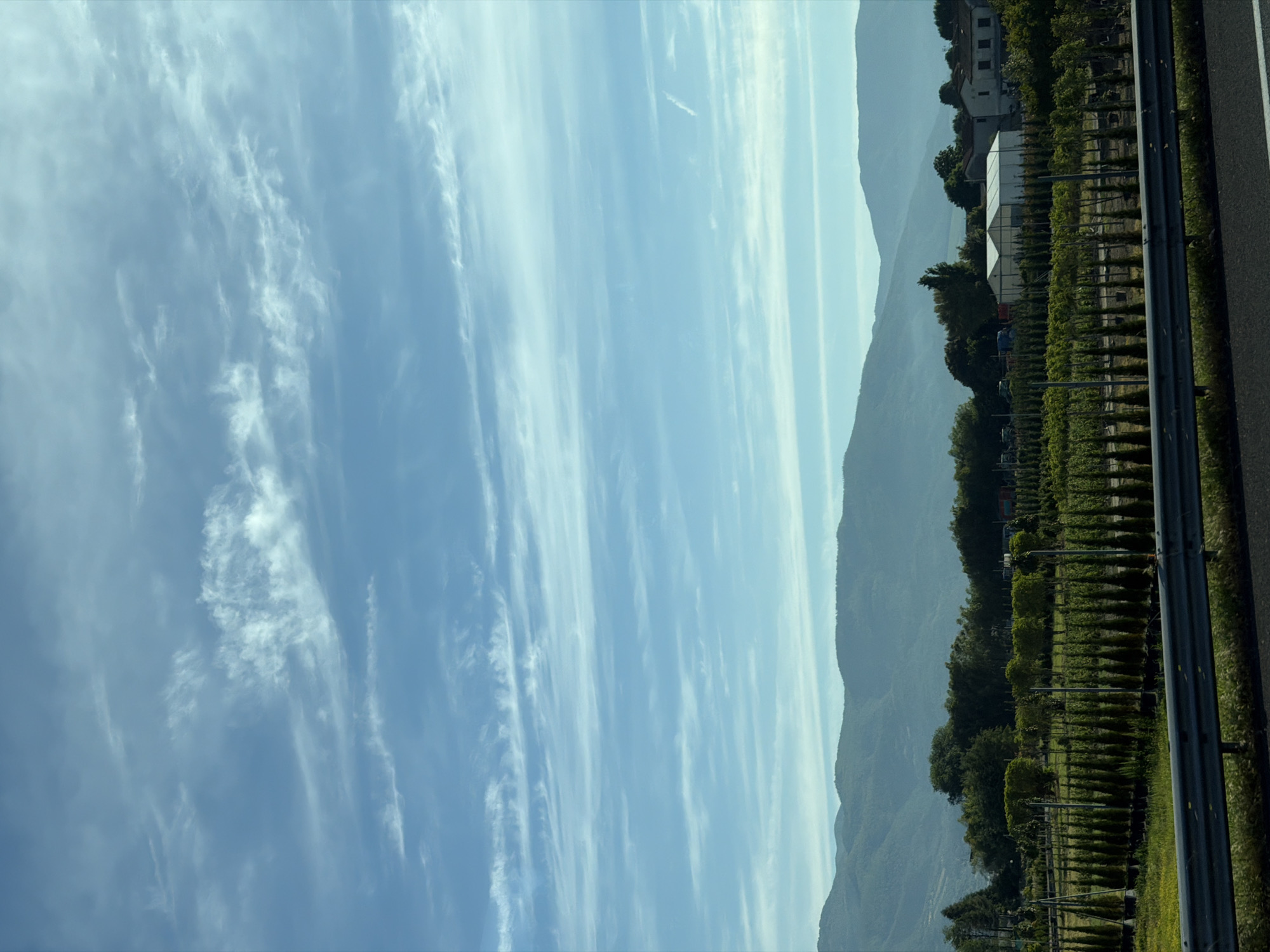 The image shows a roadside view near Pistoia, Italy. To the left is a vast expanse of blue sky streaked with wispy clouds. In the center is a range of mountains fading into the distance. On the right, a green vineyard with rows of trees or plants is visible, bordered by a metal guardrail and the edge of a road. A building with white walls and a light-colored roof can be seen among the trees.