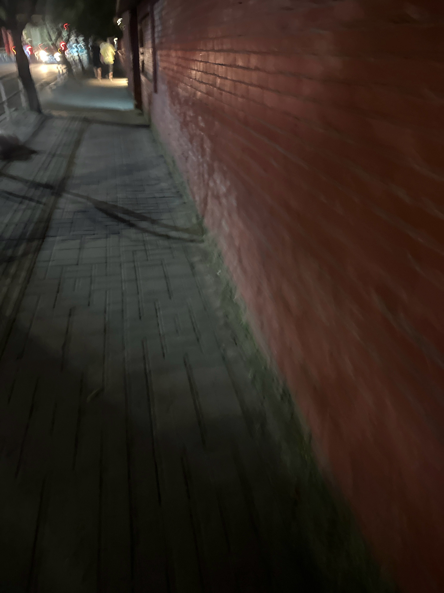 The image depicts a nighttime scene on a city street, likely in Kathmandu Metropolitan City, Nepal, given the context. A brick wall, painted a reddish-brown, dominates the right side of the frame. The wall exhibits a textured surface with visible brickwork and some green growth near the base. To the left of the wall, a sidewalk paved with rectangular stones runs along the street. The sidewalk is partially in shadow, with distinct patterns of light and dark areas suggesting overhead lighting or the reflection of streetlights. In the background, the blurred lights of vehicles and the figures of two people walking are visible. One person appears to be wearing a yellow garment, and the other dark clothing. The overall impression is one of motion blur, indicating the photograph was taken while moving. The environment appears to be an urban setting with trees lining the street in the distance.