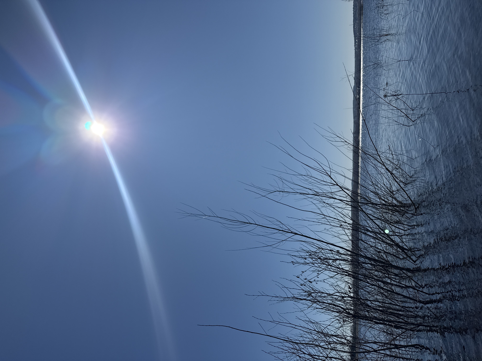 The image depicts a body of water under a clear blue sky with a bright sun. Silhouetted branches of trees or bushes are visible along the water's edge. The sun's glare creates a strong lens flare effect in the sky. The water shows a textured surface suggesting ripples or waves. The location is Chaikovsky, Russia.