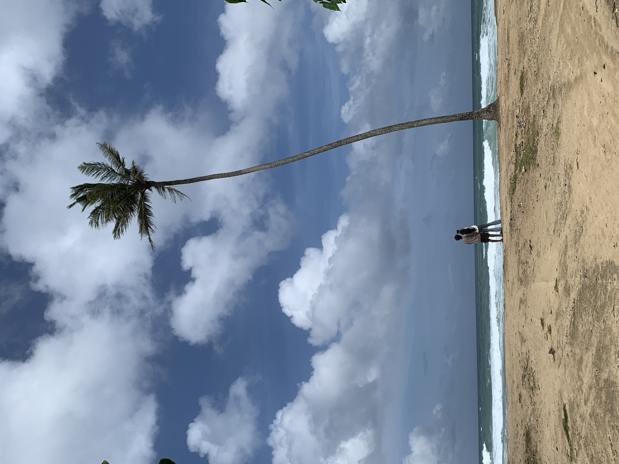 Two individuals stand on a sandy beach in Midigama, Sri Lanka, facing the ocean. A tall, slender palm tree leans towards the right of the frame, positioned between the individuals and the sea. The ocean displays a turquoise hue with moderate waves breaking along the shore. The sky is a vibrant blue, interspersed with fluffy white clouds. The foreground consists of coarse sand with sparse patches of dry vegetation. The individuals, one wearing a light-colored t-shirt and dark shorts, and the other in a white top and blue jeans, appear to be looking at the ocean or taking a photograph.