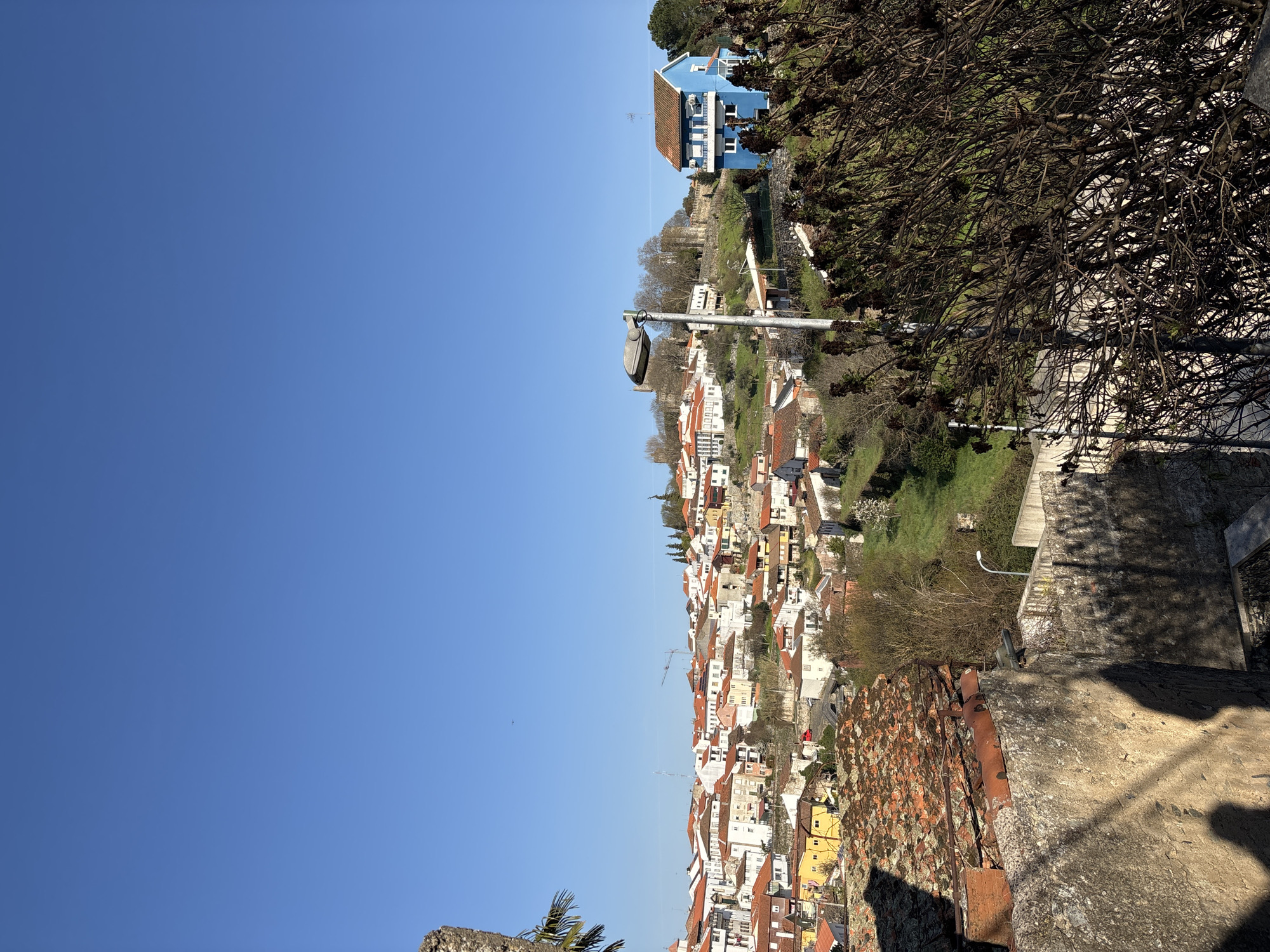 The image presents an elevated panoramic view of the city of Bragança, Portugal, under a clear, bright blue sky.
In the immediate foreground, a rough-textured concrete retaining wall occupies the lower left. Distinct shadows, consistent with human figures and foliage, are cast upon its surface. To the right of the wall, an aged, reddish-brown tiled rooftop with visible corroded metal elements is partially visible. The lower right quadrant is dominated by a dense, dormant deciduous bush with dark, intricate branches and remnants of dried flowers or leaves. A single palm frond is partially visible on the far left foreground.
The midground displays a residential area built into a hillside, characterized by numerous multi-story buildings, primarily featuring white or light-colored facades and terracotta tiled roofs. A prominent three-story house on the right stands out with its vivid blue exterior, white trim, balconies, and a red-tiled roof. A grey, modern street lamp with a rectangular luminaire is positioned vertically in the mid-right. Green grassy slopes and scattered trees are interspersed throughout the urban fabric. A small red vehicle is partially visible on a street within the mid-left cityscape. A distant construction crane is discernible against the sky on the far left horizon of the urban sprawl.
In the background, atop a hill, the stone walls and towers of a large historical fortress, identifiable as the Castle of Bragança, are visible, surrounded by mature trees. The sky above is uniformly clear and bright blue, indicative of sunny weather. No specific individuals are clearly visible; however, shadows on the foreground wall suggest the presence of at least one observer. No direct actions or interactions are depicted. The environment combines historical urban architecture with natural, undulating terrain.