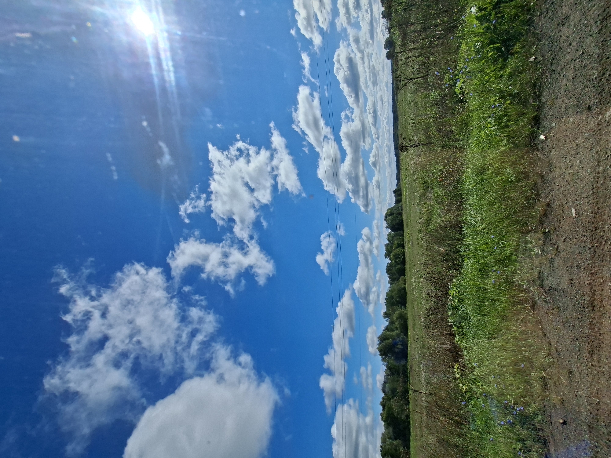A low-angle shot captures a sunny day with a bright blue sky filled with white, puffy clouds. The sun is visible in the upper right corner, casting a strong glare. In the middle ground, a line of dense green trees forms a backdrop to a field of tall grass and vegetation. Power lines stretch horizontally across the scene, just above the trees. The foreground consists of a dirt and gravel path.
