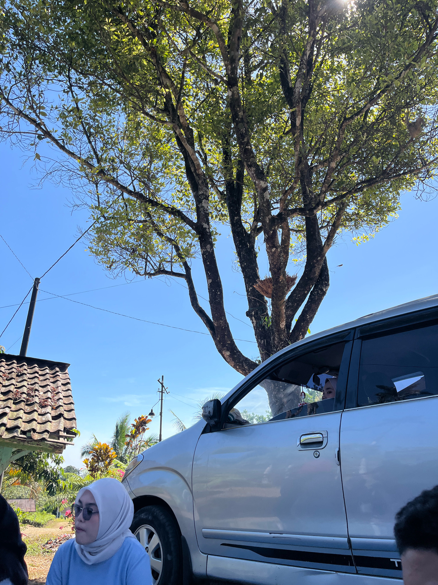 A silver car is parked outdoors in a rural area, likely in the city of Tombolo, Indonesia. The car is positioned on a dirt road, with lush green vegetation and a large tree providing shade. Sunlight streams through the tree's leaves, creating dappled patterns on the ground and the car's surface. A woman wearing a light blue hijab and sunglasses is seated in the driver's seat of the car, looking to her left. The background features a traditional tiled roof structure and power lines, indicating a village setting. The overall scene depicts a relaxed, daytime outdoor activity.