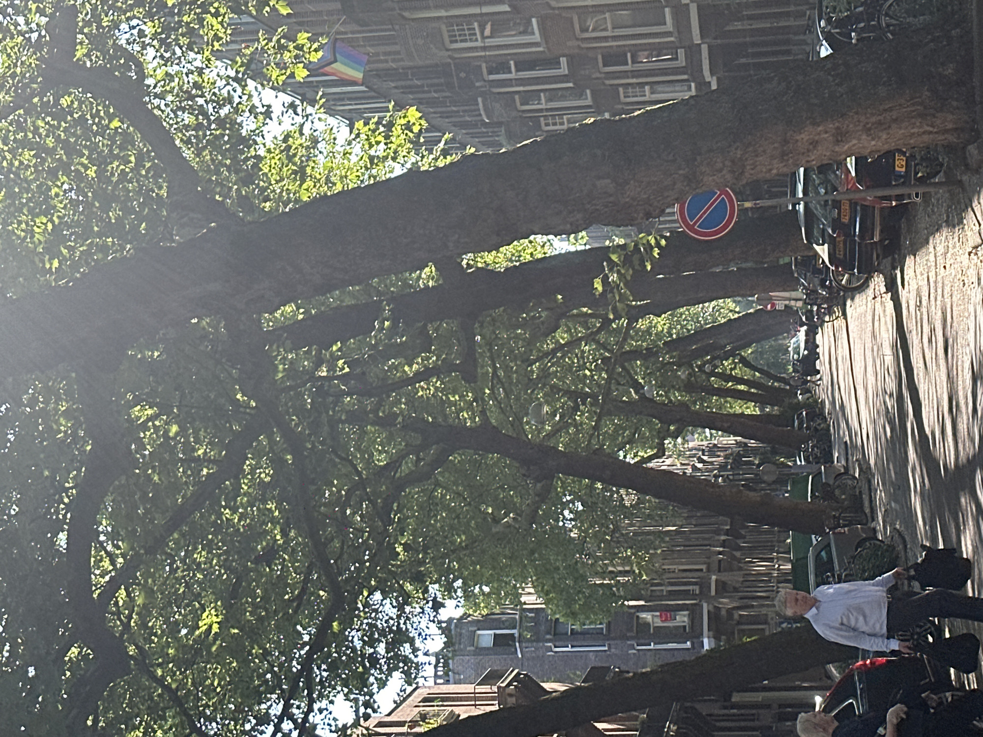 A sun-dappled, tree-lined street in Amsterdam, Netherlands, is depicted in this image. The street is paved and bordered by a row of parked cars on the right side and buildings on the left. Large trees with dense foliage arch over the street, creating a canopy. A man in a light blue collared shirt and dark trousers walks towards the viewer, carrying two dark bags. To his left, a woman in dark clothing is partially visible. A pride flag is visible hanging from a building on the right side of the street. A round traffic sign with a blue circle and red diagonal bar is also present on the right. The buildings appear to be typical Amsterdam architecture with multi-story facades. The lighting suggests it is daytime, with strong sunlight casting shadows across the street and dappling through the leaves.