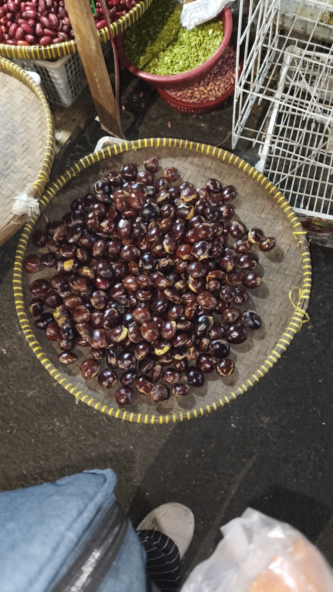 In a market stall located in South Jakarta, Indonesia, a woven basket overflows with a dark, glossy pile of jengkol beans. The beans are roughly the size of large marbles, with a shiny, smooth surface, ranging in color from deep reddish-brown to nearly black. Some beans show lighter, yellowish hues where they have been split or are naturally lighter. The basket itself is made of natural fibers, woven tightly and adorned with a bright yellow trim around its rim. To the left and top of the frame, other market goods are visible, including red beans and green beans in red plastic containers, and a white wire rack. In the foreground, a person's legs are visible, clad in blue denim jeans and a grey sneaker with black stripes. The overall scene suggests a vibrant, traditional market environment.