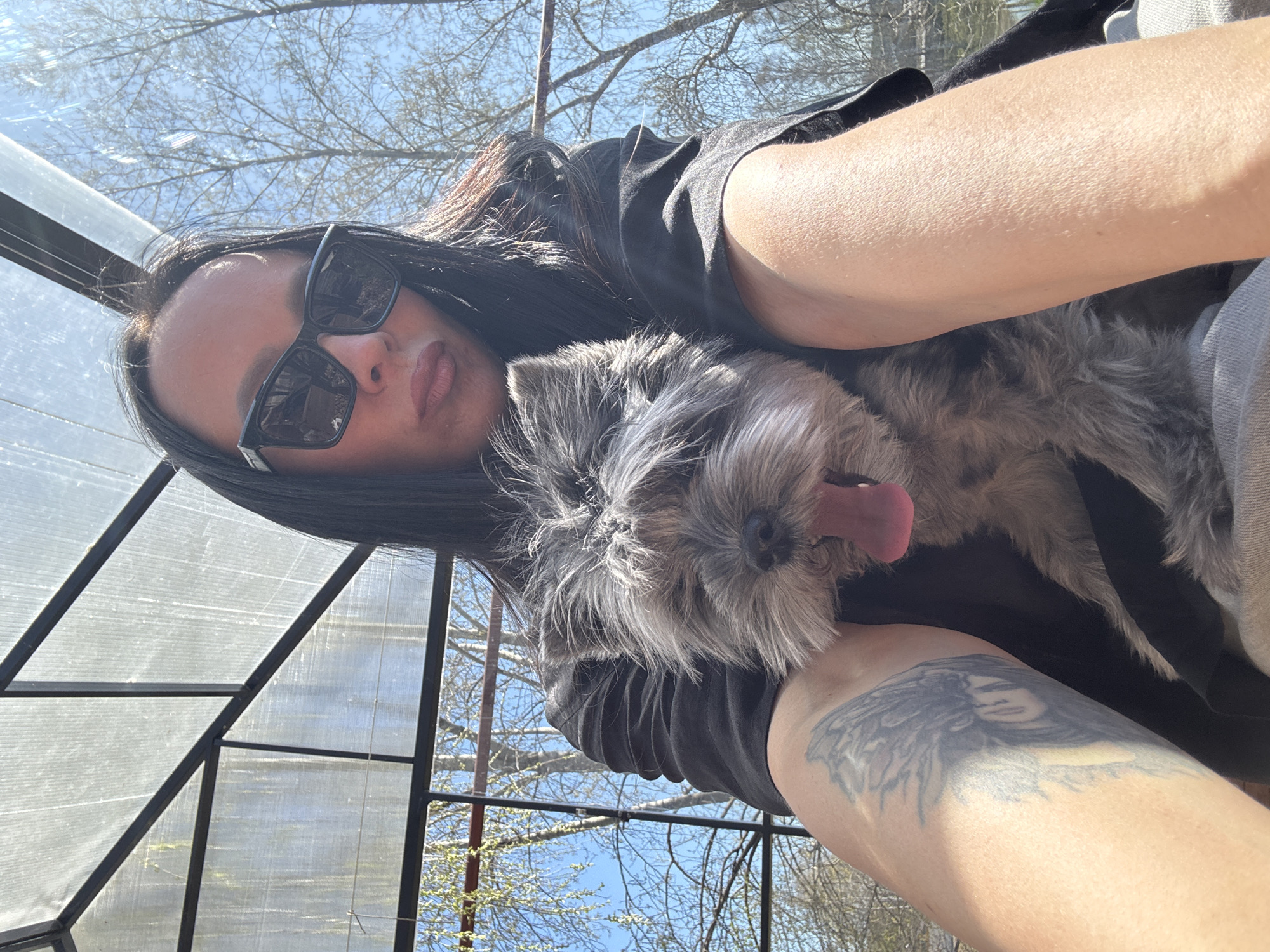 A woman with long dark hair and sunglasses is holding a gray, furry dog with its tongue sticking out. The woman is wearing a black shirt and appears to have a tattoo on her arm. The background shows a structure with glass or clear plastic panels and metal framing, possibly a greenhouse or sunroom. Through the panels, trees and sky are visible. The location is likely in Chaikovsky, Russia. The woman appears to be taking a selfie with her dog.