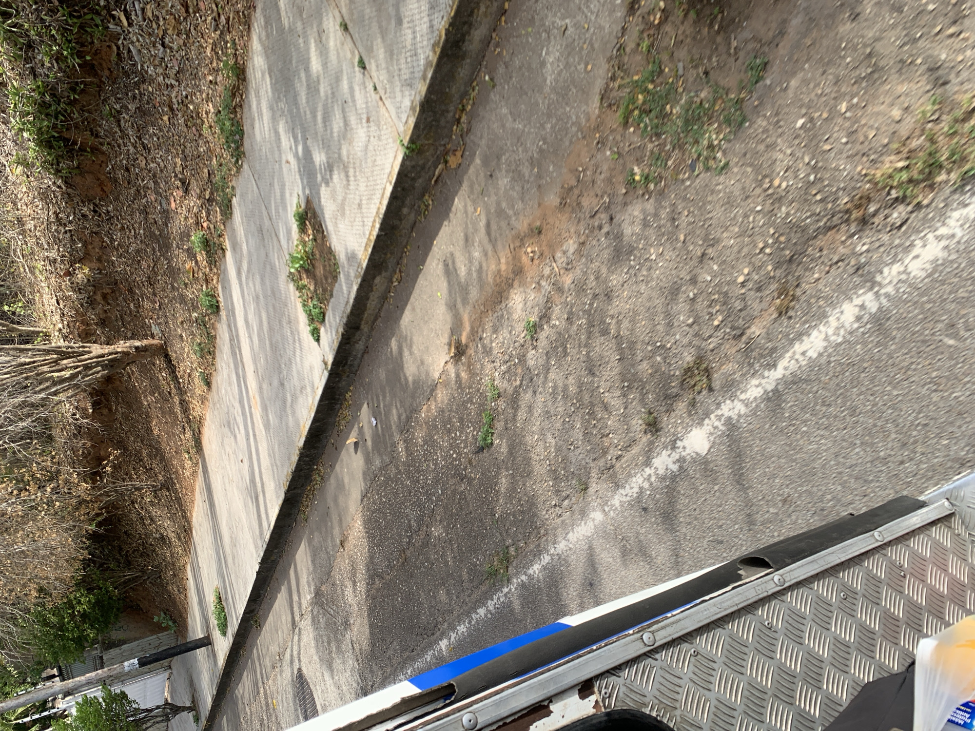 The image captures an outdoor scene from a slightly elevated perspective, looking down and across a roadside environment. In the immediate foreground on the right, the textured diamond-plate metal side of a vehicle or trailer is visible, featuring a blue and white stripe along its lower edge and a damaged, peeling black rubber strip above it.
Adjacent to this vehicle is an asphalt road, partially visible, with a faded, broken white line painted parallel to the vehicle. To the left of the road, a concrete curb separates it from a wide concrete sidewalk. The sidewalk shows patterns of light and shadow, suggesting overhead foliage or structures. Beyond the sidewalk, a strip of dry, light brown earth is covered with sparse green plants and fallen leaves. This area slopes gently upwards towards a dense tangle of dry, leafless bushes and trees, which extend further back into the background. A utility pole or dark pipe is visible near the left edge of the sidewalk. A circular metal grate (manhole cover) is also present on the sidewalk.
The scene appears to be under bright daylight, indicated by the clear shadows and overall illumination. The vegetation suggests a dry climate or season. No people are visible. In the bottom right corner, a white and yellow container is partially visible on the vehicle, with the Spanish word "Público" printed on its side. The overall impression is a quiet, sunlit roadside in what appears to be a somewhat arid or neglected area.