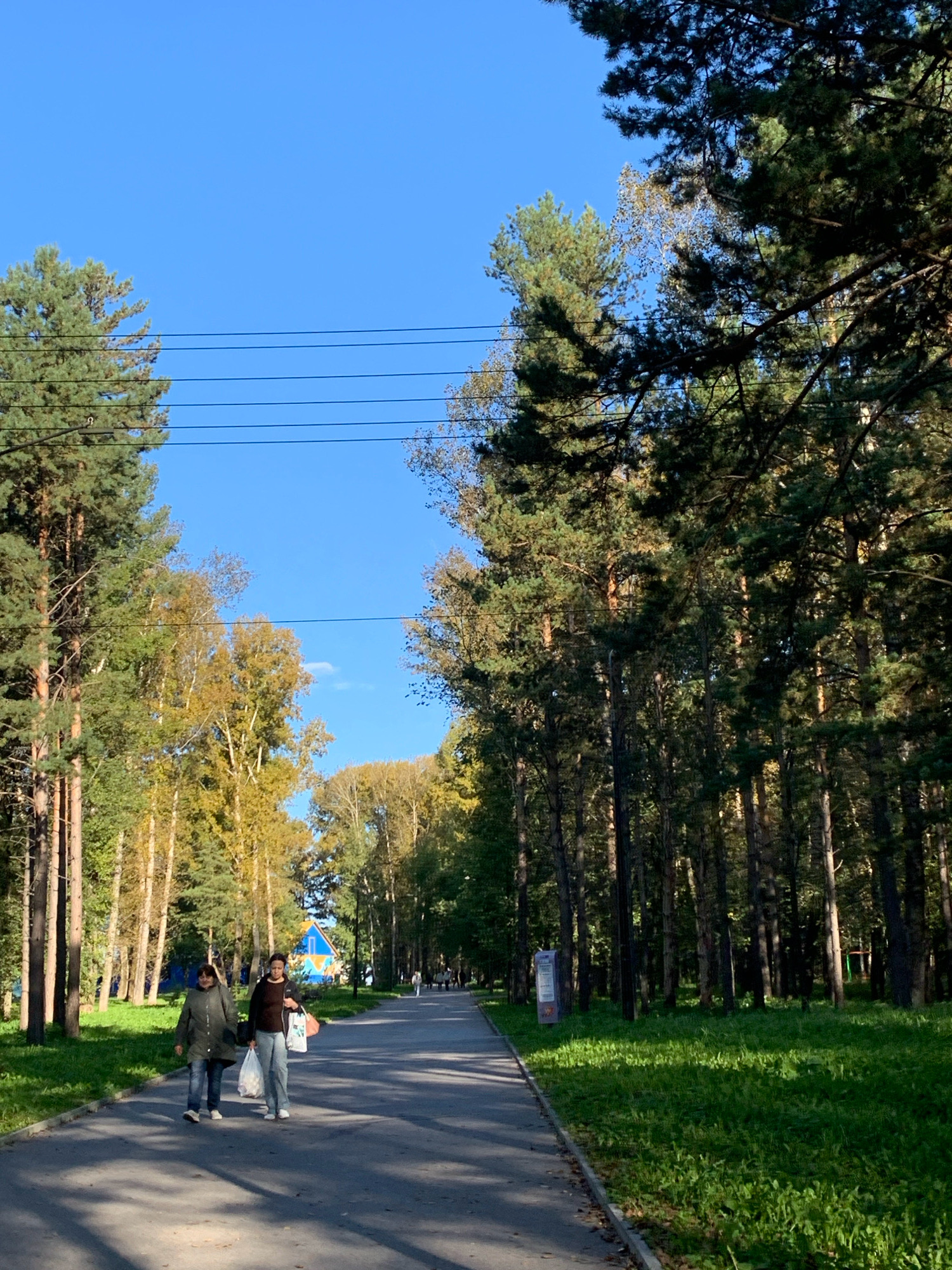 The image depicts a pathway in a park in Prokopyevsk, Russia, lined with tall pine trees and deciduous trees exhibiting autumnal colors. Two women are walking on the pathway, carrying shopping bags. The sky is clear and blue. The overall scene suggests a pleasant autumn day in a park setting.