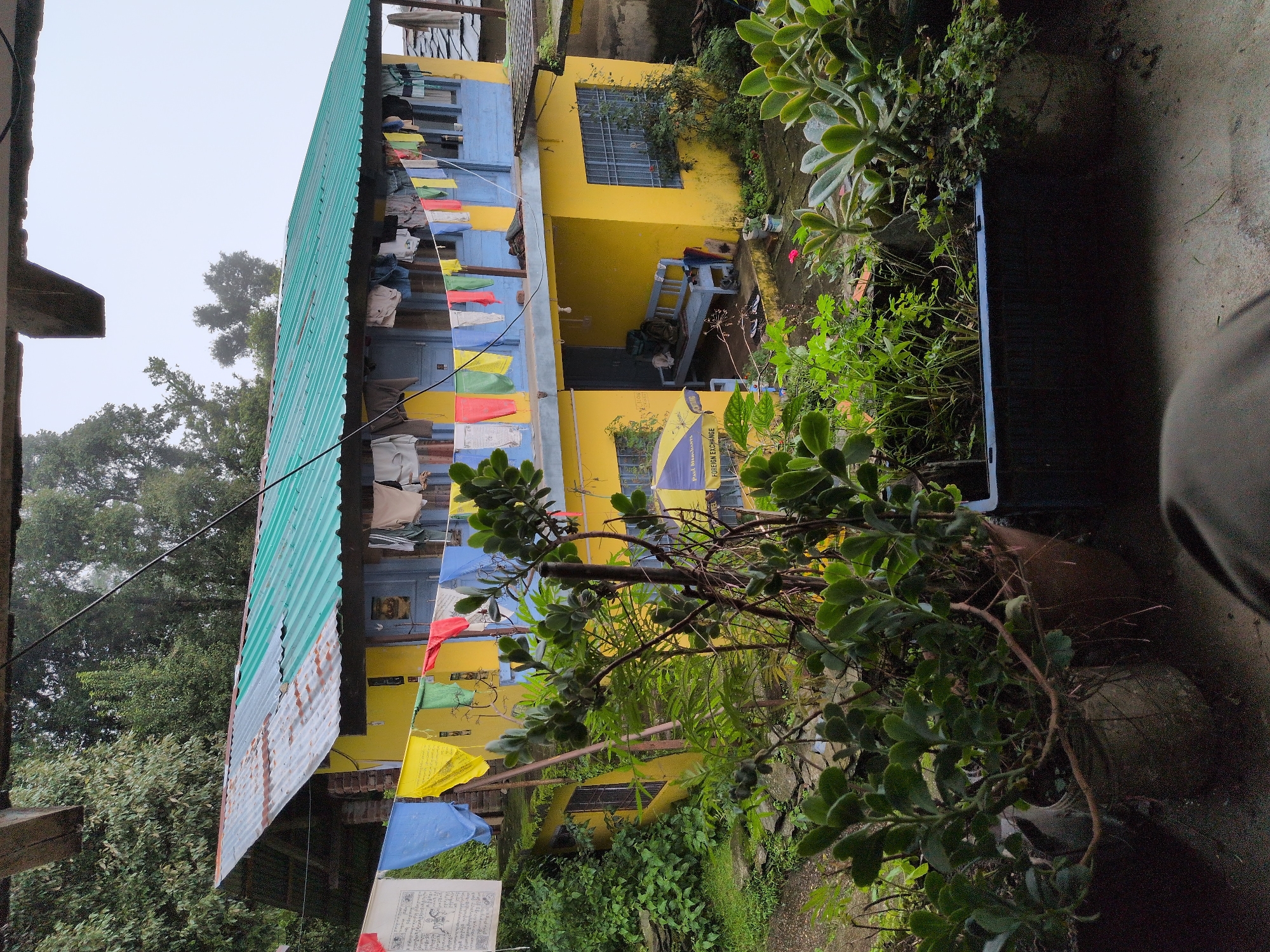 The image depicts a two-story building with a yellow lower level and a blue upper level, topped with a green corrugated metal roof. The building is situated in a lush, green environment, likely in a hilly or mountainous region. Prayer flags and laundry are strung across the upper balcony, adding a splash of color and indicating a dwelling. A wooden bench sits outside the ground-floor entrance, accompanied by a backpack and an umbrella. Several potted plants and dense foliage surround the building, suggesting a natural and possibly humid climate. The overall impression is of a simple, lived-in home in a rural or semi-rural setting. The scene is captured from a slightly elevated perspective, looking down towards the building. There are no people visible in the image. The time of day appears to be overcast, with diffused light. The presence of prayer flags suggests a location with a strong Buddhist or Hindu cultural influence. The context of Haini, India, points to a remote or mountainous region within the country.