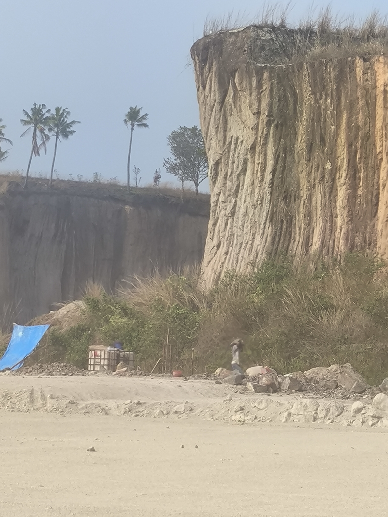 The image depicts a quarry site in Cilegon, Indonesia, characterized by a towering cliff face with distinct vertical striations, likely caused by erosion or excavation. The cliff exhibits varied colors, ranging from light brown to earthy orange and yellow. Palm trees and other vegetation are visible along the top edge of the cliff and in the mid-ground. In the foreground, a dirt road or construction area is present, with scattered rocks and debris. A bright blue tarp is laid out to the left, partially covering some material. A white, caged container, possibly a water tank, sits near the tarp. A person, wearing a light-colored shirt and dark pants, is partially visible in the mid-ground, appearing to be engaged in some activity near the rocks and vegetation, with their back to the camera. The overall environment suggests an active or recently active quarry operation in a tropical or subtropical region.