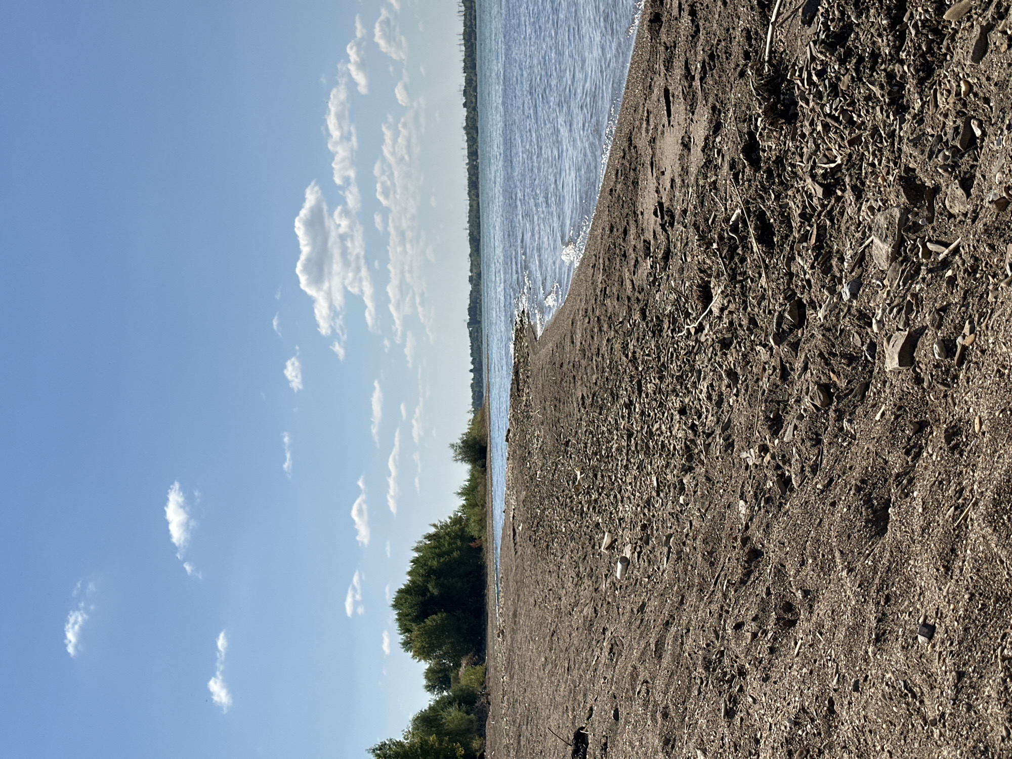 The image depicts a wide, sandy and pebbly beach on the shore of a calm body of water, likely a river or a lake, with a distant treeline on the horizon under a clear blue sky with scattered white clouds. The foreground is dominated by the textured beach, characterized by dark sand mixed with small stones, twigs, and some debris, including what appear to be discarded white cylindrical objects, possibly plastic bottles or cans. The water's edge is defined by gentle waves lapping onto the shore. In the background, a dense green treeline stretches across the horizon, and beyond that, faint structures suggest distant industrial activity or a settlement. The overall scene is a natural landscape under a bright, sunny day, with a hint of human presence through the discarded items. The location is the shore of the river Erik in Gornyi Erik, Russia.