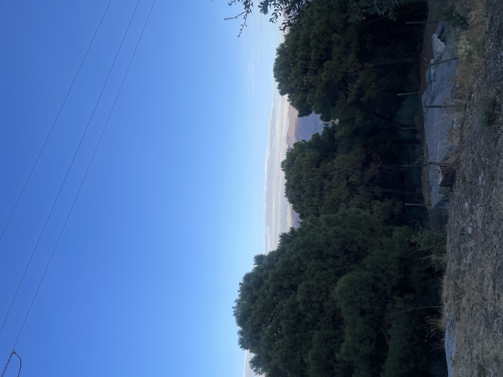 An outdoor, eye-level, full shot captures a serene, slightly dusky landscape featuring a vast expanse of clear blue sky above a dense cluster of dark green pine trees. Three prominent trees dominate the foreground, with their lush canopies creating a natural barrier that partially obscures a distant view of hazy, muted brown mountains. The sky transitions to lighter shades of blue and white horizontally in the far distance, hinting at a sunset or sunrise. Faint, thin power lines stretch diagonally across the upper portion of the frame. Below the trees, a patch of dry, brown grass and uneven ground leads to a dilapidated concrete structure, possibly the remnants of a building or foundation, with visible rebar and wooden stakes. A wire fence surrounds this structure. A thick tree stump is visible to the left of the concrete, and dry vegetation is scattered across the foreground. The overall impression is one of a quiet, rural, and somewhat abandoned natural setting. This location is in Víznar, Spain.