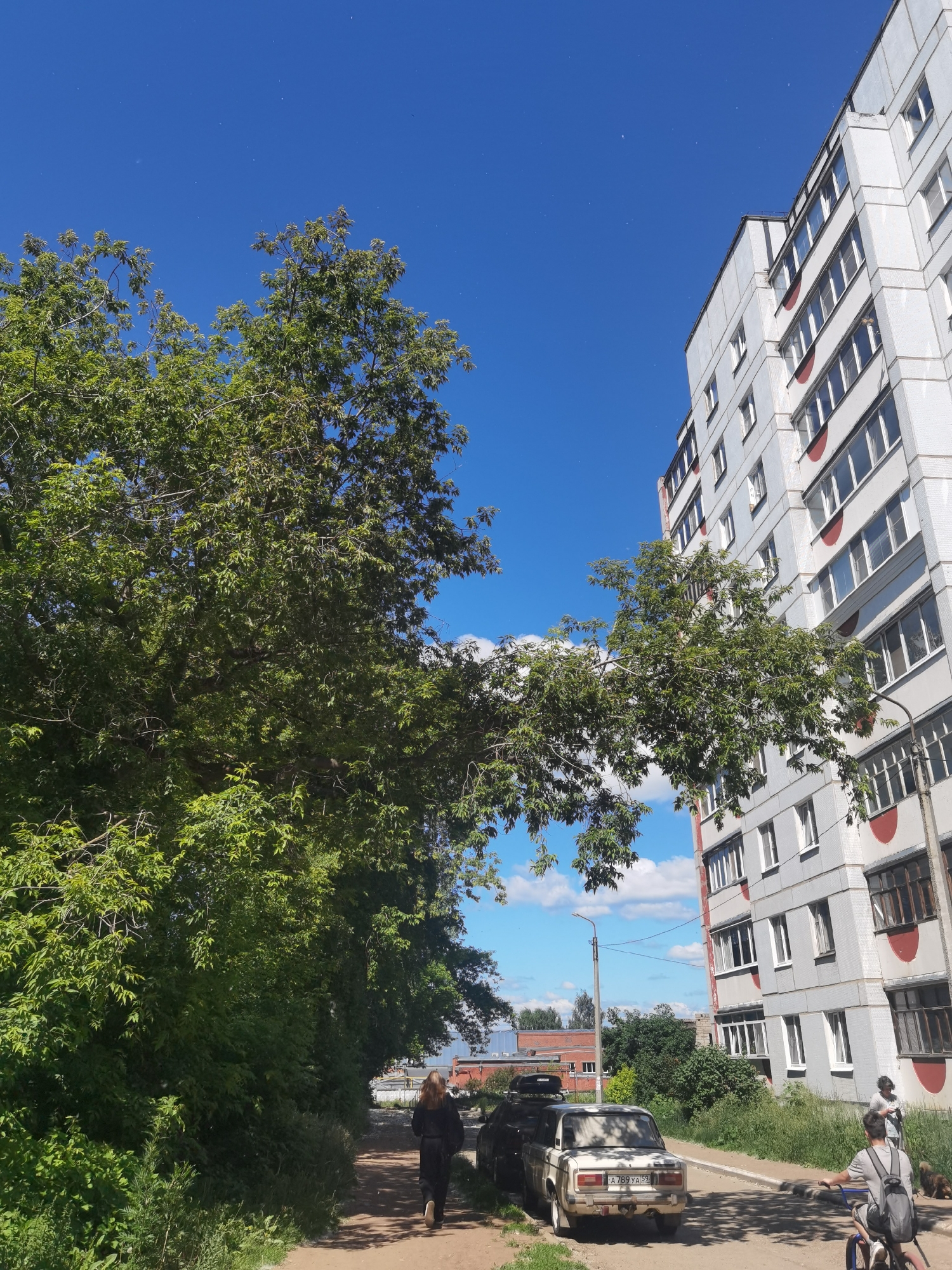 A sunny day in Chaikovsky, Russia, showcases a residential building and lush trees lining a path. The multi-story building, typical of Soviet-era architecture, is constructed of gray and white concrete blocks with red accents around some windows. The windows themselves are predominantly white-framed, with a few dark-tinted ones visible. A tree with vibrant green foliage extends its branches across the path, partially obscuring the building.
On the dirt path, a woman in a black outfit walks away from the camera. To her right, parked cars, including a white sedan with a license plate that reads "A 789 YA 59," are lined up along the side of the road. The sedan appears to be older, possibly a Lada. Further down the path, a young man with a backpack is on a bicycle, and a small dog is visible near him. In the background, more trees and other buildings can be seen. The sky is a clear, bright blue with scattered white clouds, indicating fair weather. The overall scene depicts a typical urban environment with elements of nature integrated into the cityscape.