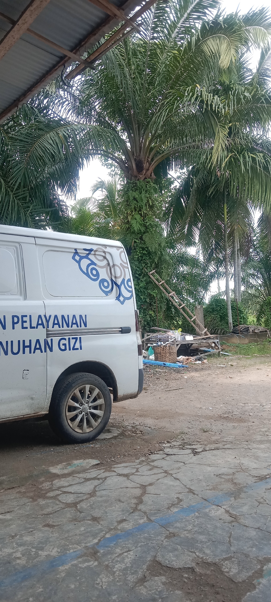 A white van with blue lettering and a circular emblem is parked on a cracked concrete surface. The van has a sliding door and a visible rear wheel. The lettering on the van appears to be in Indonesian, with words like "PELAYANAN" and "ENUHAN GIZI" visible. In the background, palm trees dominate the scene, with lush green foliage reaching towards the sky. Some of the trees are entwined with vines. A wooden ladder leans against one of the palm trees. Scattered on the ground behind the van, there is a collection of items including a wicker basket, some plastic containers, and blue pipes. The overall environment suggests an outdoor, possibly rural or semi-rural, setting in Puloblang, Indonesia. The lighting indicates it is daytime.