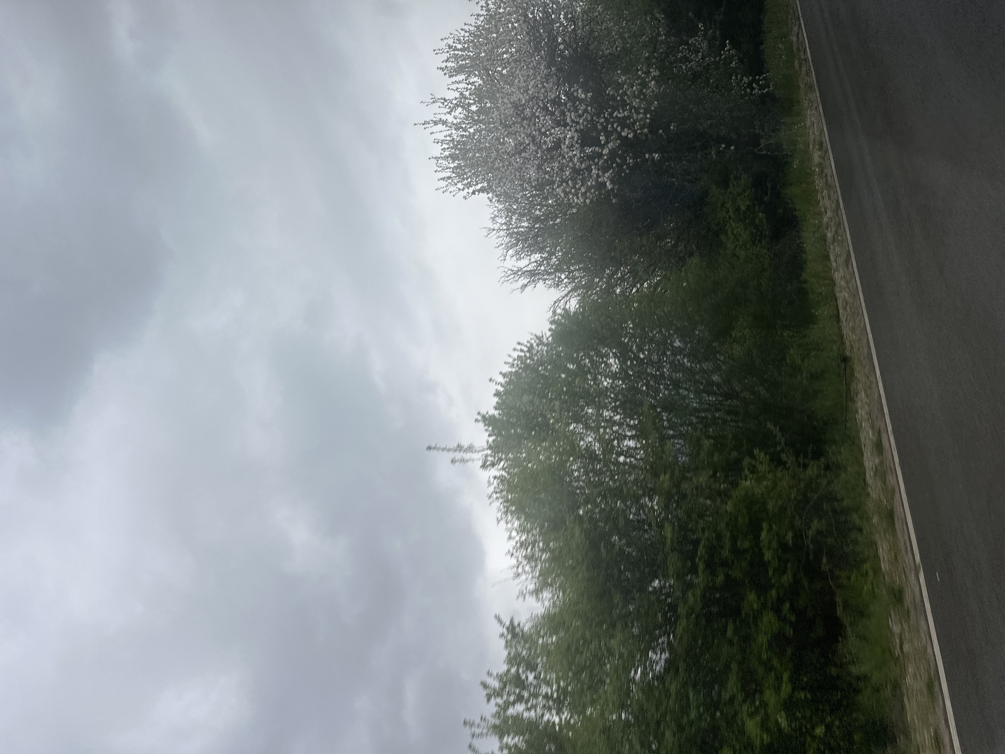 The image depicts a road in Dolno Kamartsi, Bulgaria. The road surface is asphalt and grey. Adjacent to the road, there is a strip of green vegetation. Further away from the road, there are trees with white blossoms. The sky is overcast with grey clouds. There is no visible human activity or any specific objects of interest beyond the natural environment and the road.