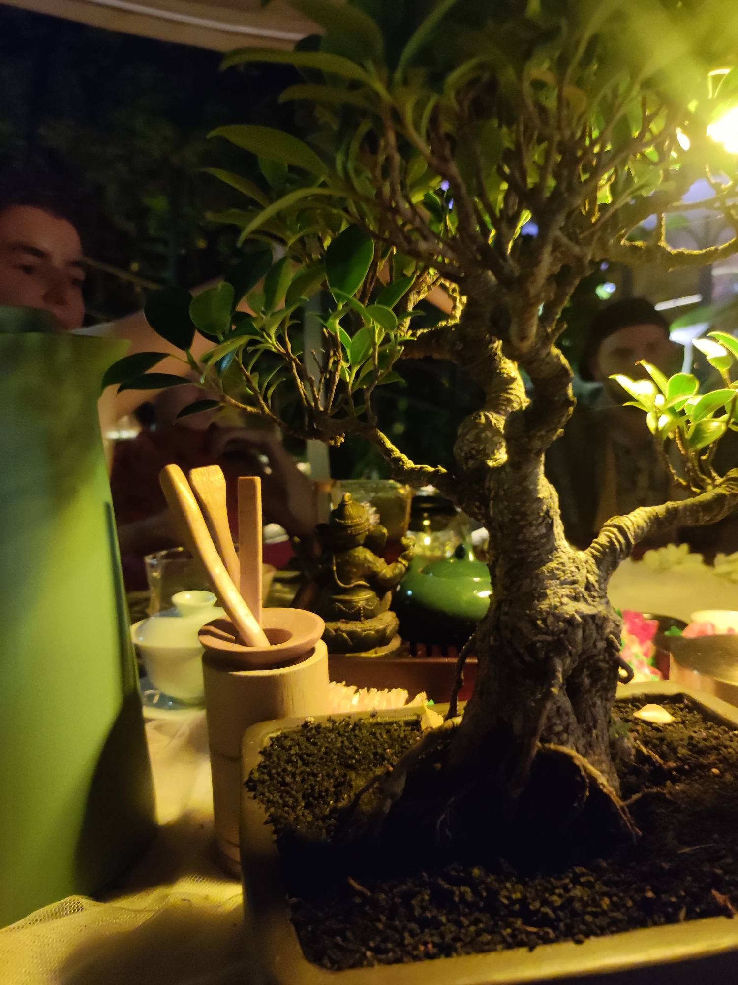 A bonsai tree is in the foreground of this medium shot, with its textured bark and green leaves illuminated by a bright yellow light source from the upper right. The bonsai is planted in dark soil within a rectangular pot. To the left of the bonsai, a light green pitcher or vase stands tall. In front of the pitcher, a wooden holder contains two wooden utensils, possibly for tea preparation, and a small clay dish. Behind these items, a white teapot with a lid is visible. Further back, a dark statue with a rounded headdress is positioned to the right of the teapot. The scene appears to be set outdoors at night, possibly on a table or patio, with blurry figures of people visible in the background. The overall impression is one of a tranquil, perhaps social gathering. The image likely depicts a scene in North Kuta, Indonesia, given the context provided.