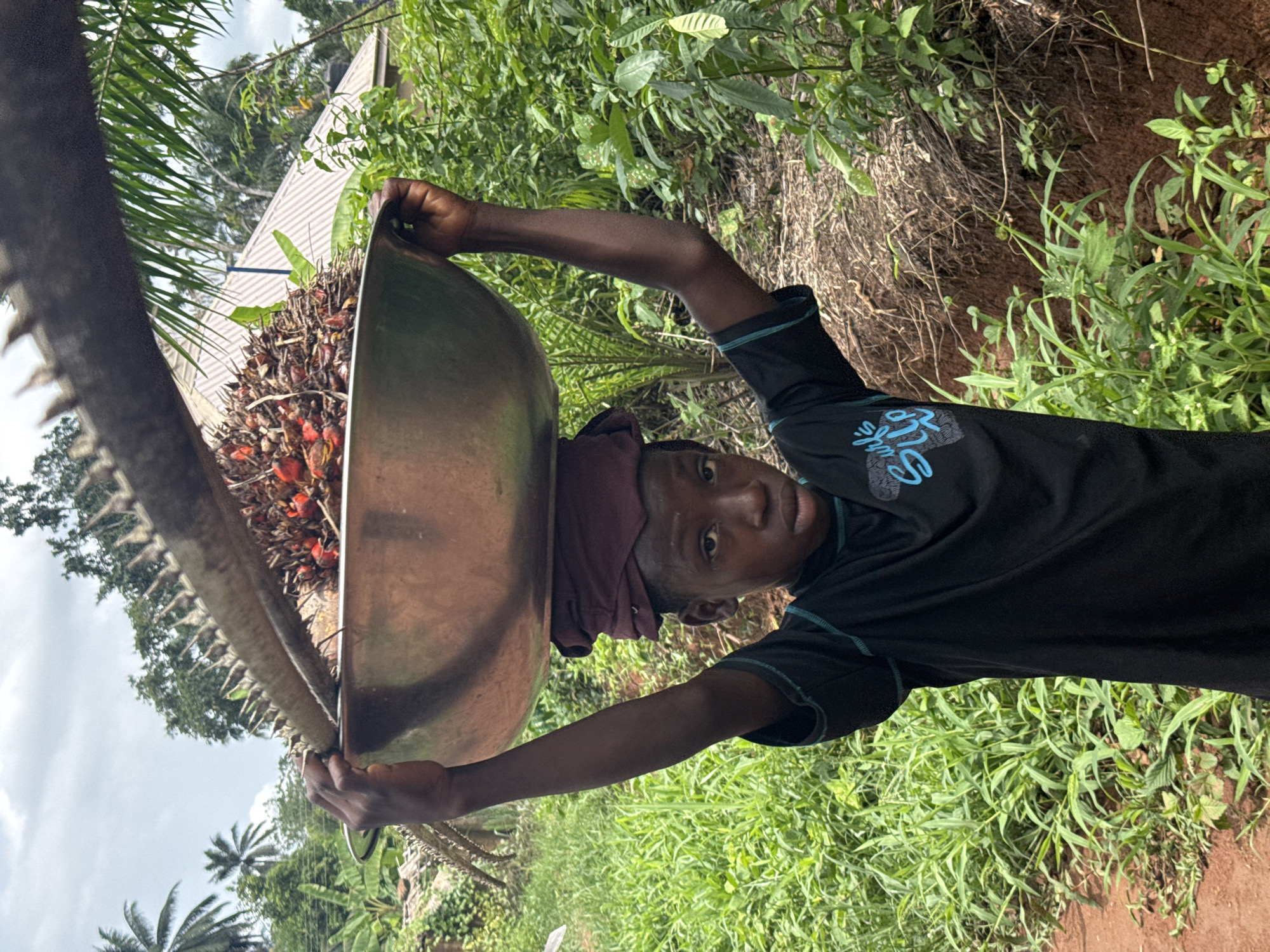 A young person, likely male, is captured in an outdoor setting in Eziudo, Nigeria, balancing a large, metallic bowl filled with reddish-orange oil palm fruits on their head. They use both hands to steady the heavy load and gaze directly towards the viewer with a neutral expression. The person wears a black short-sleeved t-shirt with blue detailing on the collar and sleeves; light blue text, including "SLYD," is visible on the left chest. A dark headwrap is worn underneath the bowl.
The background is dominated by lush, green tropical vegetation, including tall grasses, dense foliage, and several palm trees, suggesting a rural or semi-rural environment. The ground beneath appears to be reddish-brown earth, possibly a path. A glimpse of a building with a white corrugated roof can be seen through the trees in the upper left corner. The lighting is natural and bright, indicative of daytime under what appears to be an overcast sky, as no harsh shadows are present.