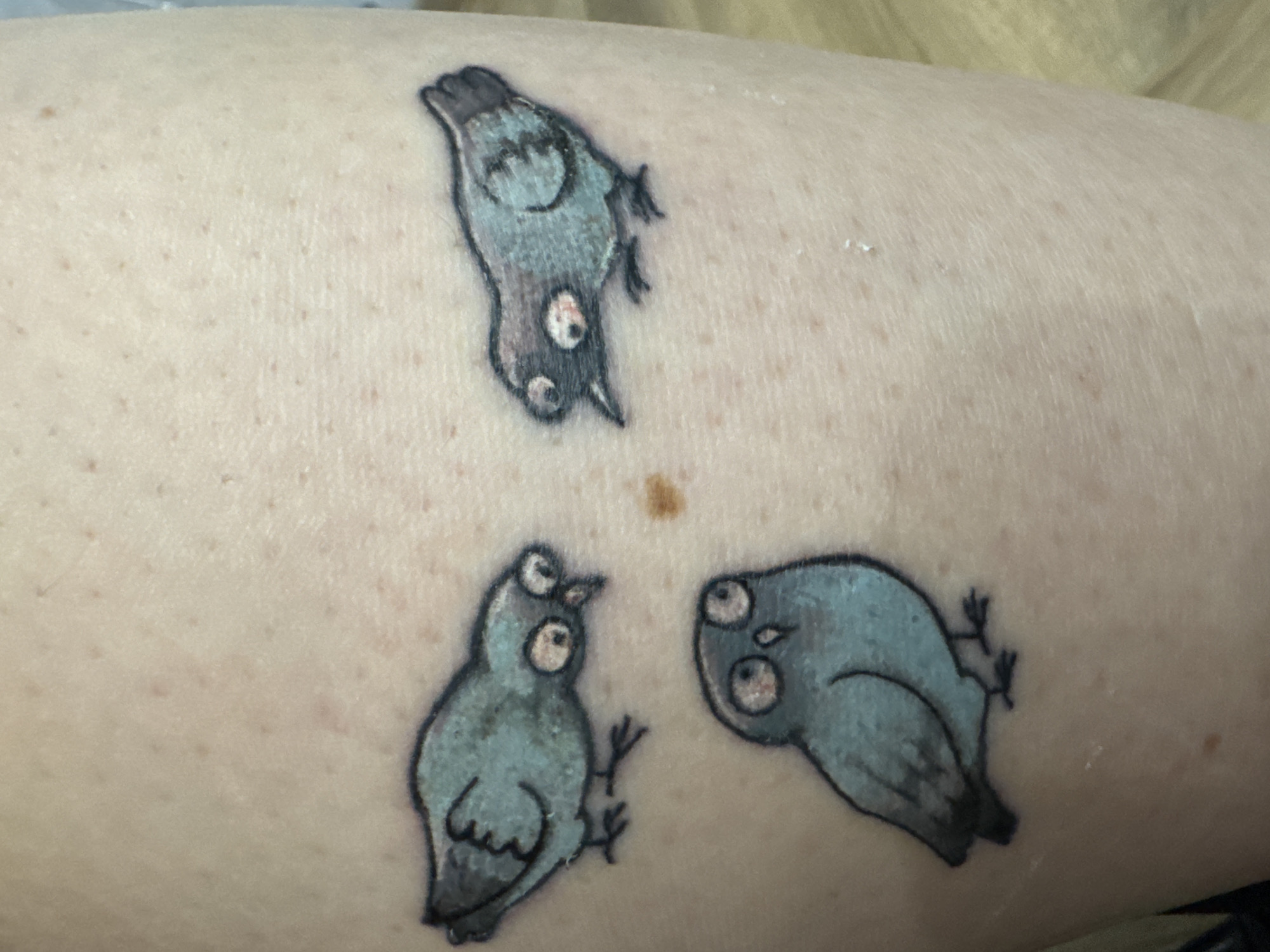 A close-up image displays a section of light-toned human skin, likely on an arm or leg, featuring three distinct cartoon-style bird tattoos. The skin exhibits visible pores, some minor freckles or moles, and a few small, light-colored flakes, possibly indicative of dry skin or the healing process of the tattoos. A prominent brown mole is situated in the central area between the three tattoos.
The tattoos are arranged in a triangular pattern. Each bird is depicted with a rounded body, small wings, and thin, stick-like legs. They all share exaggerated, wide-open eyes with small pupils, giving them a perpetually surprised or comically dazed expression. The primary color of the birds is a muted blue-grey, outlined with a darker shade, and includes some subtle shading for dimension.
The top bird is oriented upside down, with its head pointing towards the bottom of the frame. The bird on the bottom left is upright, appearing to gaze slightly upwards. The third bird, positioned on the bottom right, is tilted to its left and seems to be looking towards the bottom-left bird. The overall aesthetic of the tattoos is whimsical and humorous. There is no visible text in the image.
