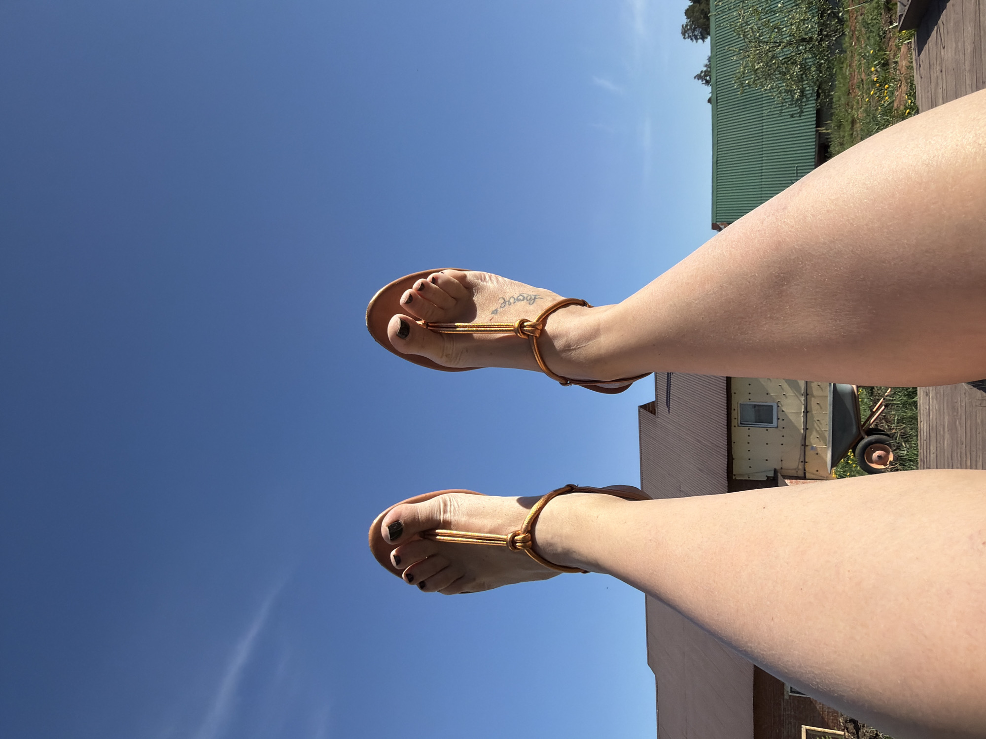 The image presents a low-angle view of a pair of legs, presumably belonging to a person reclining. The legs are fair-skinned and clad in minimalist brown sandals with dark nail polish. The feet are positioned against a vibrant, clear blue sky.
In the background, various structures are visible. A green, metal-roofed building or shed is at the top, suggesting a possible rural or semi-rural location. Additionally, sections of a tan or light-brown building and parts of what seems to be an old, possibly derelict vehicle (e.g., a trailer or small structure on wheels) are present. The location is in the city of Chaikovsky, Russia. A wooden deck appears to extend along the bottom right.