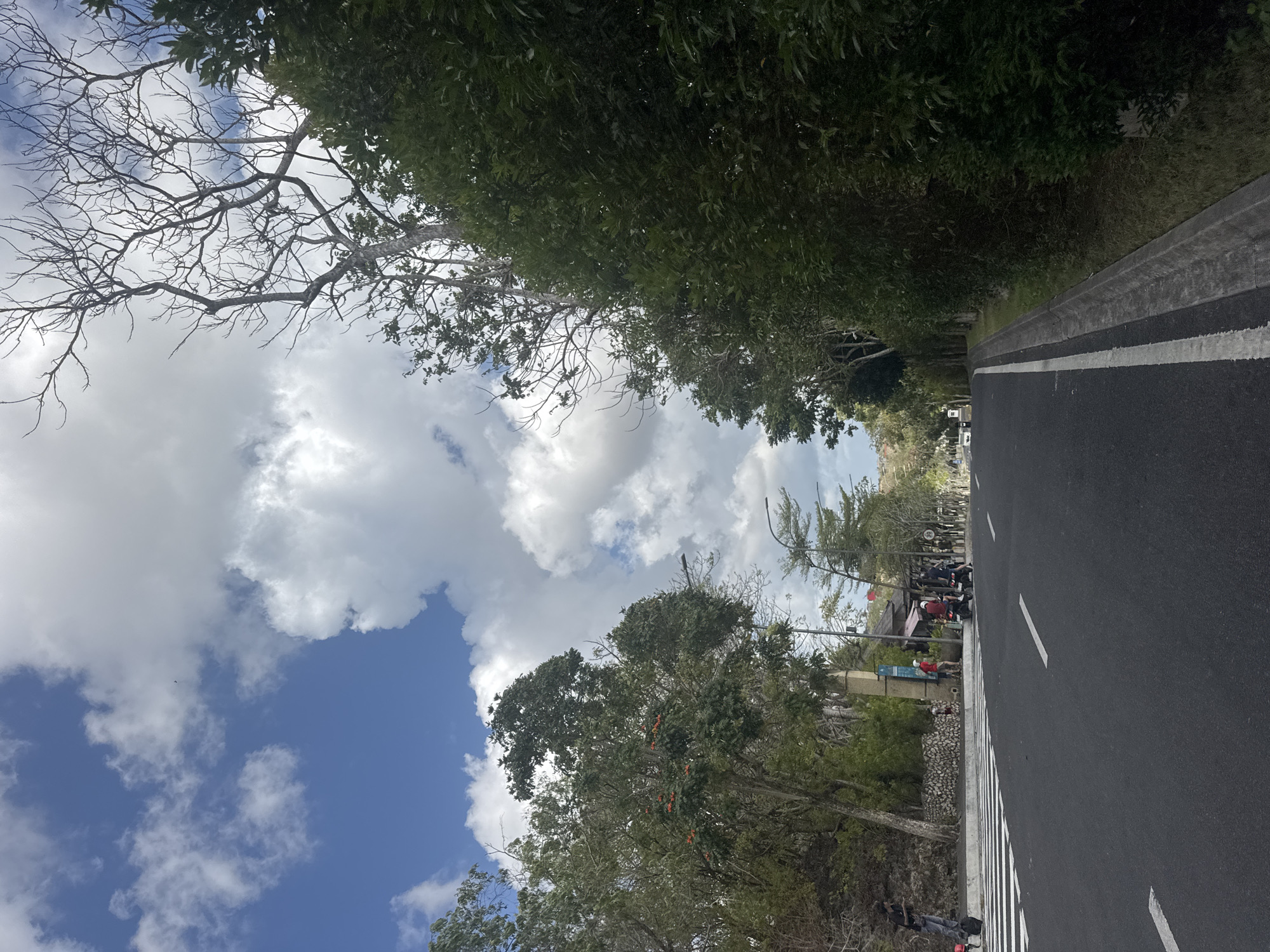In Kuta Selatan, Indonesia, a paved road with white dashed and solid lines runs from the foreground towards a vanishing point. A crosswalk with white stripes is present on the left side of the road. To the left of the road, a steep, rocky embankment is covered with vegetation. A person dressed in black stands near the crosswalk, holding a phone. Across the road, several people are visible. Two individuals in red are near a building, and a person on a scooter is stopped. Further down the road, more people are gathered, and a few scooters are parked. A dense line of trees and shrubs borders the right side of the road, with a concrete curb and drainage ditch. In the background, hills rise, covered with trees and vegetation. The sky above is a mix of blue and white clouds, with bare, skeletal tree branches extending into the frame from the right. The overall scene depicts a street in a tropical, possibly developing, area with active pedestrian and vehicular presence.