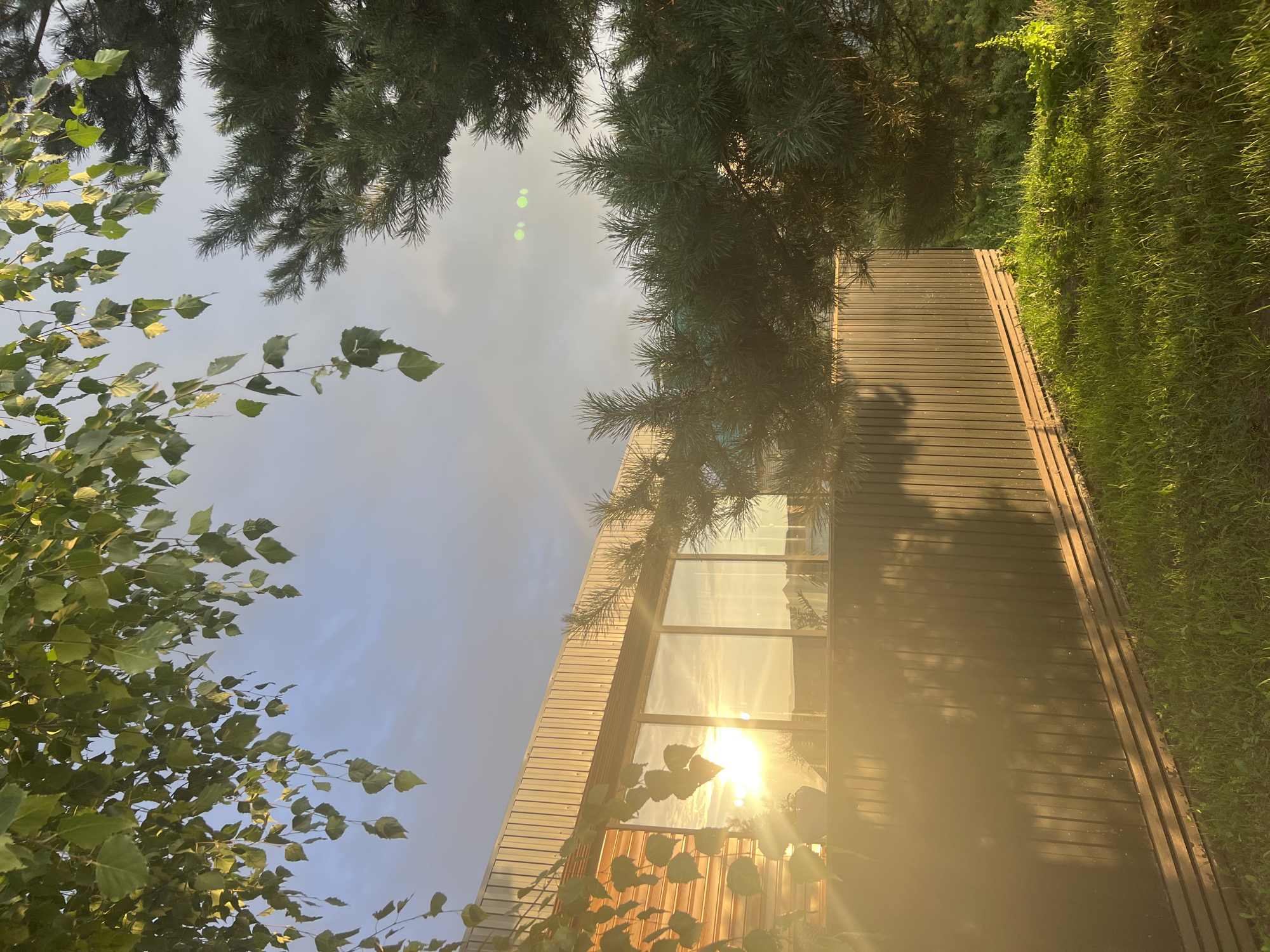 The image depicts a modern wooden building with large windows reflecting a bright sunset. In the foreground, lush green grass grows alongside a dark wooden fence. The scene is framed by the branches of a birch tree and a pine tree, suggesting an outdoor setting possibly in a suburban or rural area. The bright sunlight creates lens flares and casts long shadows. The location is identified as Большая Шильна, Russia. There are no people visible in the image.