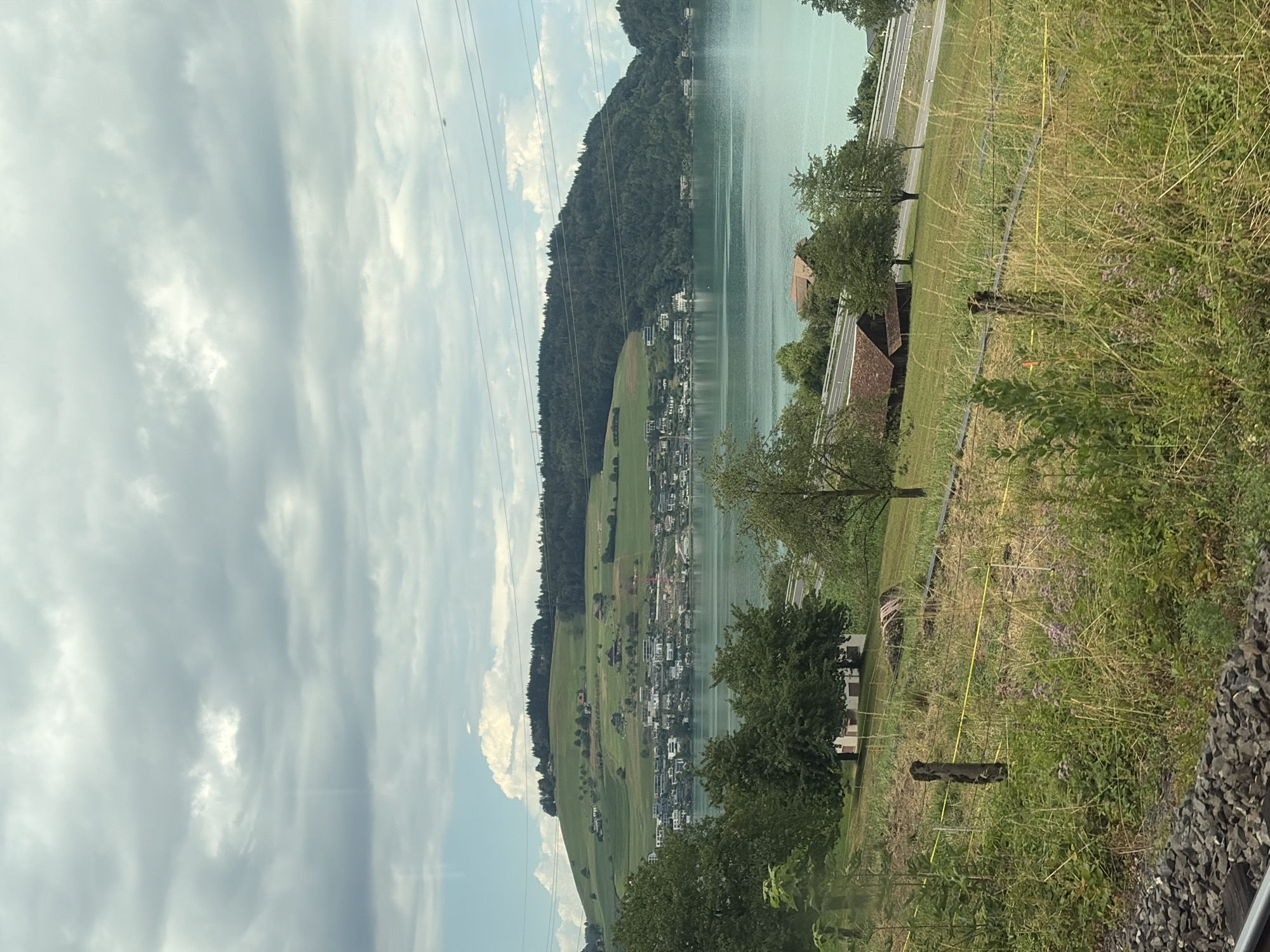 The image captures a scenic view of Immensee, Switzerland, dominated by a large, tranquil lake reflecting the soft, overcast sky. The lake stretches horizontally across the frame, with a densely forested mountain slope rising steeply from its shore on the left. A picturesque village or town is nestled along the base of the mountain and extends towards the lake, characterized by a collection of white buildings with red-tiled roofs, interspersed with greenery.
On the right side of the image, a grassy embankment slopes down towards the viewer. This area is covered with tall, dry grass and dotted with small purple flowers, suggesting a rural or semi-rural setting. A few trees are visible, and the presence of a road running parallel to the lake and passing behind some of the buildings indicates human settlement and infrastructure. The foreground on the right is a jumble of dark gray stones, likely part of a railway track, hinting that the photo was taken from a moving train or a location adjacent to a railway line.
Several power lines stretch across the sky from the left side of the frame, disappearing behind the mountain. The lighting is diffused, suggesting it is daytime, possibly late morning or afternoon, under a cloudy sky. The overall mood is serene and peaceful, showcasing the natural beauty of the Swiss landscape combined with the charm of a lakeside community. No visible text is present in the image.
