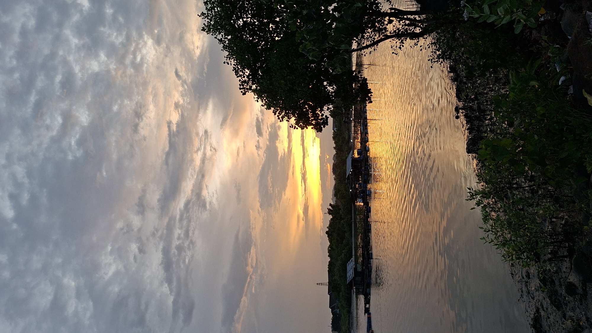 This is a vertical, eye-level, full shot of a coastal sunset in Lhokseumawe, Indonesia. The sun is setting over the horizon, casting a warm, golden glow on the clouds and water. In the foreground, the shore is lined with dark rocks and lush green vegetation. The water is calm and reflects the colors of the sky. In the middle ground, there are several small wooden structures, possibly fish farms or homes, built on stilts over the water. A large tree with dark green leaves stands prominently on the right side of the frame, silhouetted against the bright sky. The sky itself is filled with a mix of grey and orange clouds, with the sun a bright yellow circle peeking through. The overall mood of the image is peaceful and serene, with the natural beauty of the coastal landscape illuminated by the setting sun.