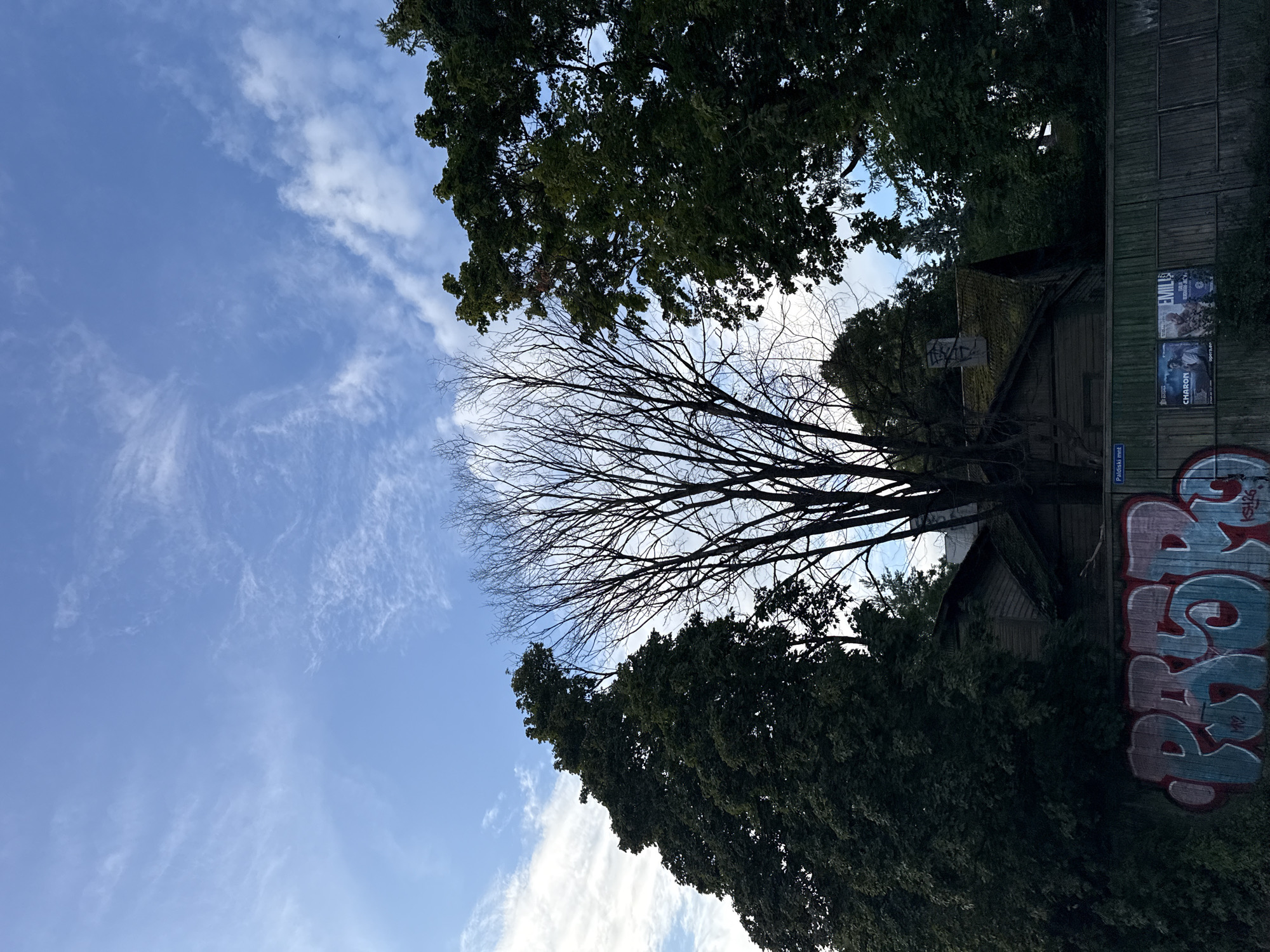 This is a vertical, medium-shot photograph taken from a low angle, looking up at a predominantly blue sky with scattered white clouds. The sky is in the upper two-thirds of the frame. In the foreground, along the bottom edge of the image, there is a wooden fence with graffiti on it. The graffiti, in red and blue, appears to spell out "PRSR" in large, stylized letters.
Behind the fence and graffiti, there are several trees of varying foliage. On the left, a large, dark green tree with dense leaves dominates the left side of the frame. In the center, a bare tree with a network of dark branches is silhouetted against the sky. On the right, another large, dark green tree with full foliage is visible.
Peeking through the trees and above the fence are the rooftops of a couple of wooden buildings. The roofs appear to be covered in moss or dark shingles. One building in the center has a prominent, steep roof.
The image was captured in Tallinn, Estonia, specifically on Paldiski maantee (Paldiski highway). The scene suggests an urban or semi-urban environment, with natural elements like trees juxtaposed with human-made structures and graffiti. The lighting indicates it may be late afternoon or early morning due to the soft light and the contrast between the bright sky and the shaded ground. There are no people visible in the frame.