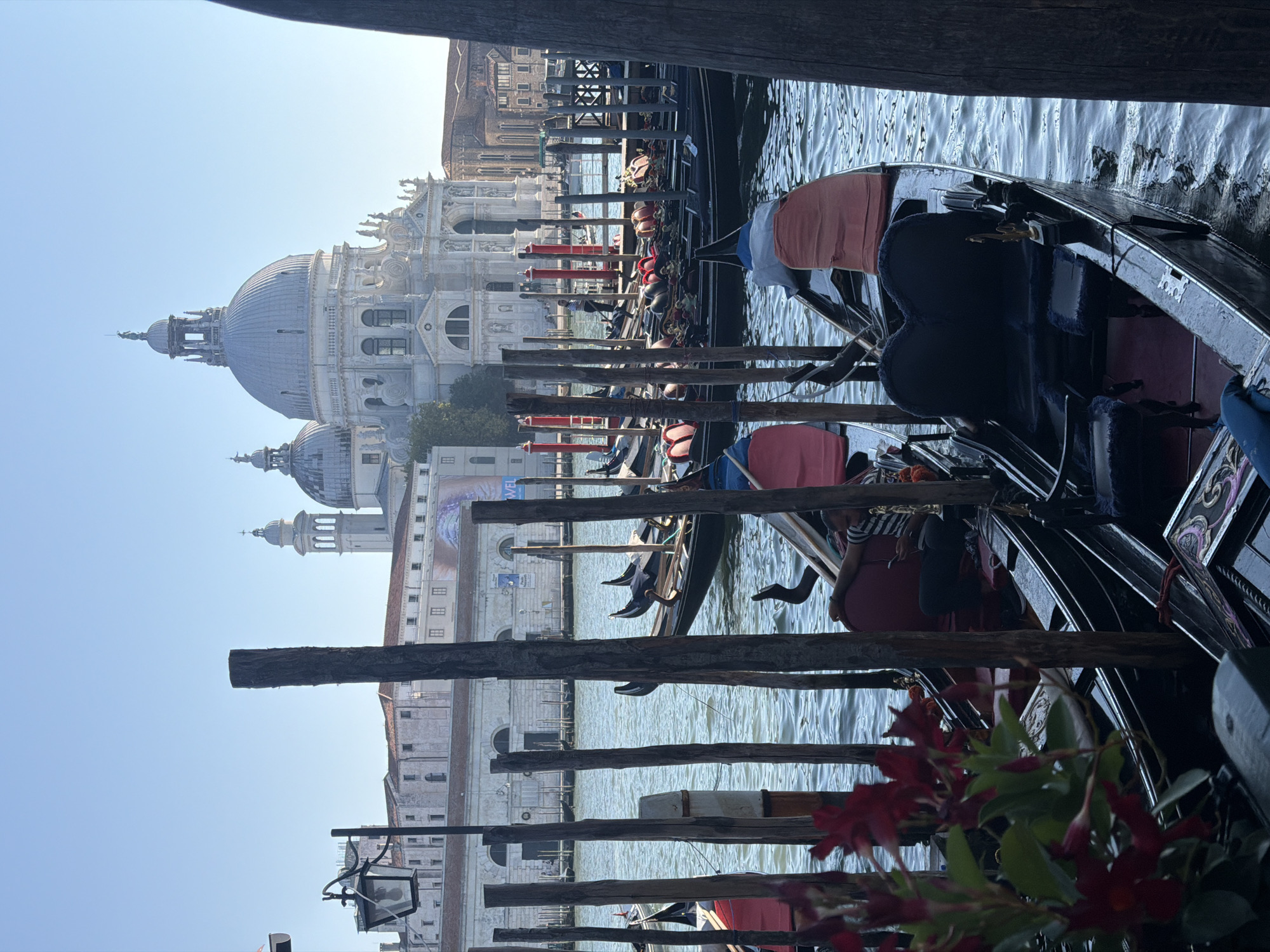 The image depicts a scenic view of gondolas docked on a canal in Venice, Italy, with the Basilica di Santa Maria della Salute visible in the background. The Basilica's prominent dome and architectural details are clearly identifiable. Several black gondolas, adorned with decorative elements, are lined up along the canal, some with red and orange cushions. Red flowers are in the foreground, adding a touch of color to the scene. A man in a striped shirt is seated in one of the gondolas, looking at his phone. The water of the canal is calm, reflecting the clear blue sky. The overall atmosphere is peaceful and iconic of Venetian tourism.