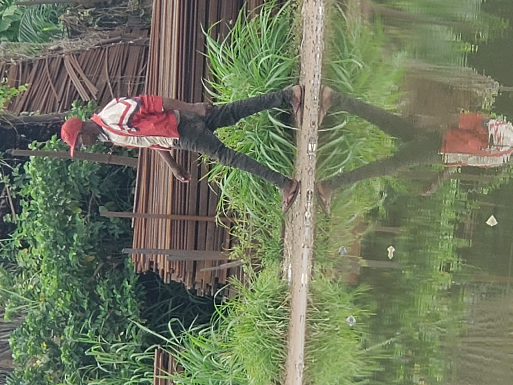 A man wearing a red cap, a white and red jacket, and dark jeans is standing on a dirt path next to a stack of wooden planks, with lush green vegetation on the left. The scene is mirrored in a body of water, suggesting the path runs alongside a lake or river. Floating debris is visible in the water. The location is in the city of Unknown, Unknown.