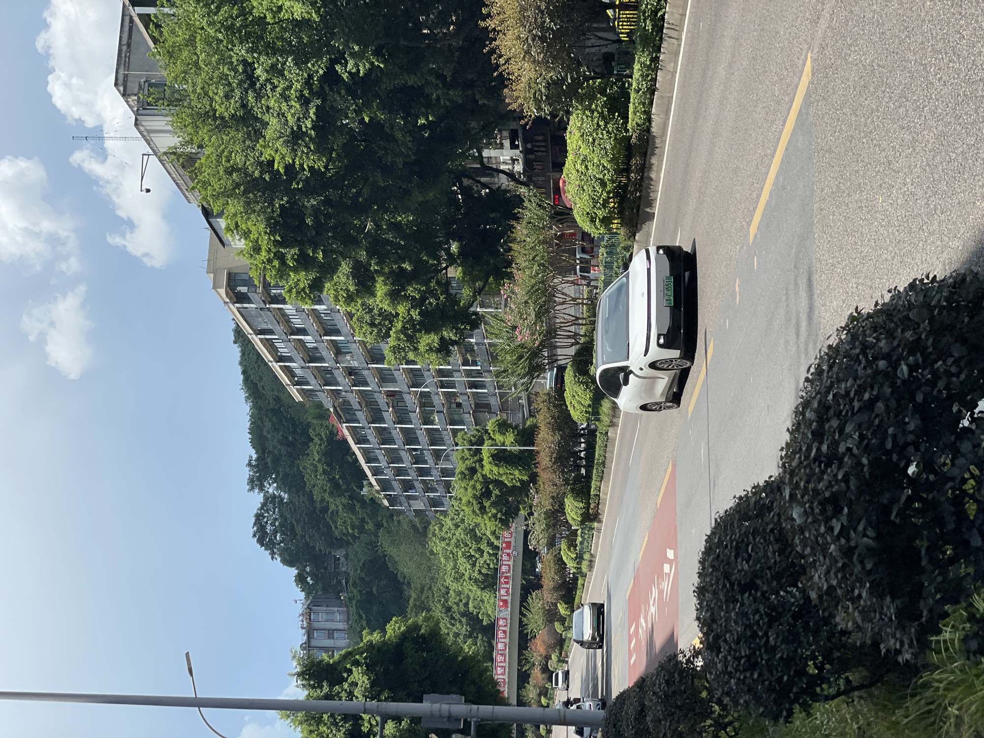 The image depicts a sunny daytime scene on a street in Yuzhong District, China. A white electric car is driving on the right lane of a multi-lane road. The car has a green license plate with the characters "A.C.J5518". On the left side of the road, there are red painted markings on the asphalt, possibly indicating a pedestrian crossing or a special lane. Further to the left, dark green bushes are planted along a raised sidewalk or median. In the background, a long, multi-story building with many balconies is situated on a hillside covered with lush green trees. Another building, also on the hillside, is partially visible behind the trees. A bridge with banners is visible in the mid-ground, spanning across the road. The sky is blue with scattered white clouds. A street lamp stands on the far left of the image.