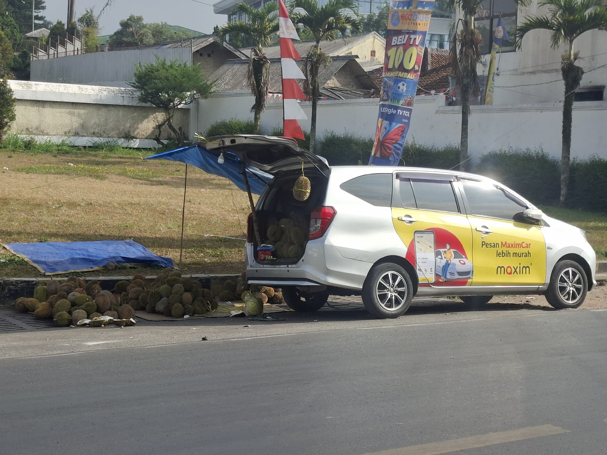 On a sunny day in Sukalarang, Indonesia, a white Maxim car is parked by the roadside, its rear hatch open, displaying durians. A pile of durians is also visible on the ground next to the car. The car is adorned with a yellow Maxim advertisement. In the background, buildings and trees are visible, along with banners indicating the location. A blue tarp is spread on the ground, and a durian hangs from the open car door. The scene appears to be a roadside durian stall.
