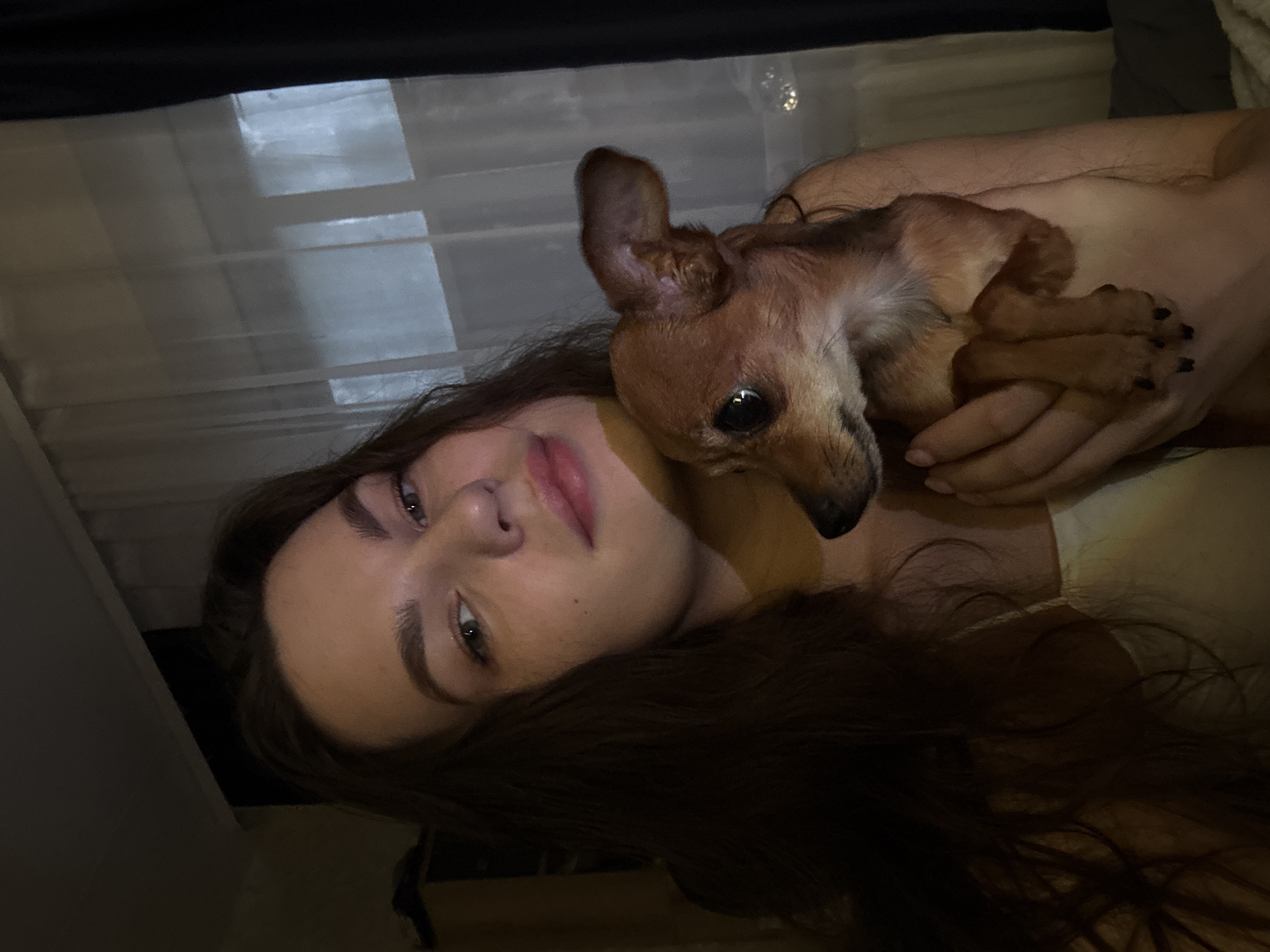 A young woman with long, dark hair is lying down, holding a small, tan dog. The woman is looking up and to the side, with her eyes visible and her lips slightly parted. The dog is nestled against her, with its head resting on her chest. The scene appears to be indoors, with soft lighting and a blurred background that suggests a domestic setting. The overall mood is intimate and relaxed, conveying a sense of comfort and affection between the woman and her pet. The woman's hair cascades over her shoulders and onto the surface she is lying on. The dog's paws are visible, resting on the woman's arm. There is no visible text in the image.