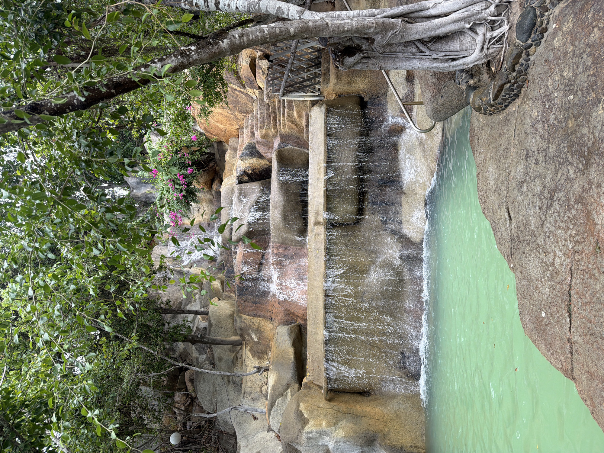 The image depicts a multi-tiered artificial waterfall cascading into a clear turquoise pool. The waterfall is constructed with naturalistic rock formations and concrete, interspersed with lush green foliage and a cluster of vibrant pink flowers at the top. A set of stone stairs with a wooden railing leads up the side of the waterfall, suggesting it's a man-made attraction. A metal handrail is visible near the pool's edge, offering support for entering or exiting the water. To the right of the waterfall, a large tree with exposed, gnarled roots grows from the rocky terrain, its branches extending over the scene. The ground in the foreground is composed of large, rough-hewn rocks, with a decorative mosaic of dark stones forming a serpentine shape near the base of the tree. The overall setting appears to be a tropical or subtropical resort or park. This scene is consistent with features found in the VinWonders Nha Trang amusement park, specifically the waterfall and pool area.