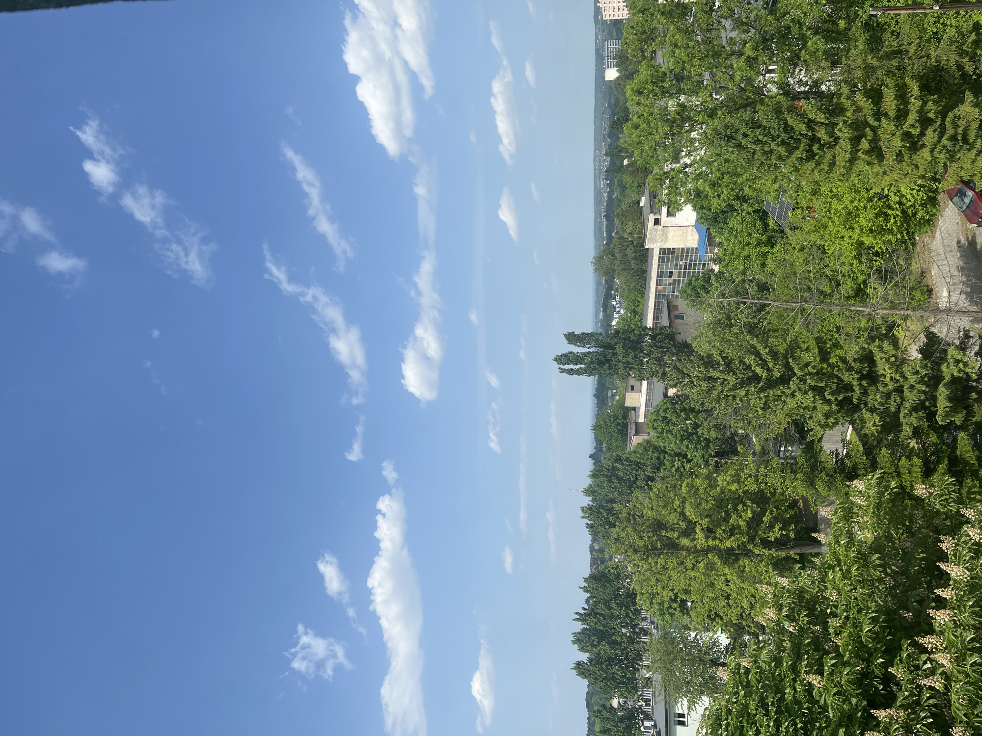 The image captures a bright, daytime scene in what appears to be an urban area. The sky, taking up about half the image on the left, is blue with scattered cumulus clouds. On the right side of the image, dense green trees dominate the landscape. Buildings are interspersed amongst the trees, including a building with solar panels on its roof, visible between the trees. In the background, the silhouette of a cityscape is visible. A red car is parked along a street. The composition suggests the photograph was taken from an elevated position, possibly a high floor of a building. The image is oriented vertically.