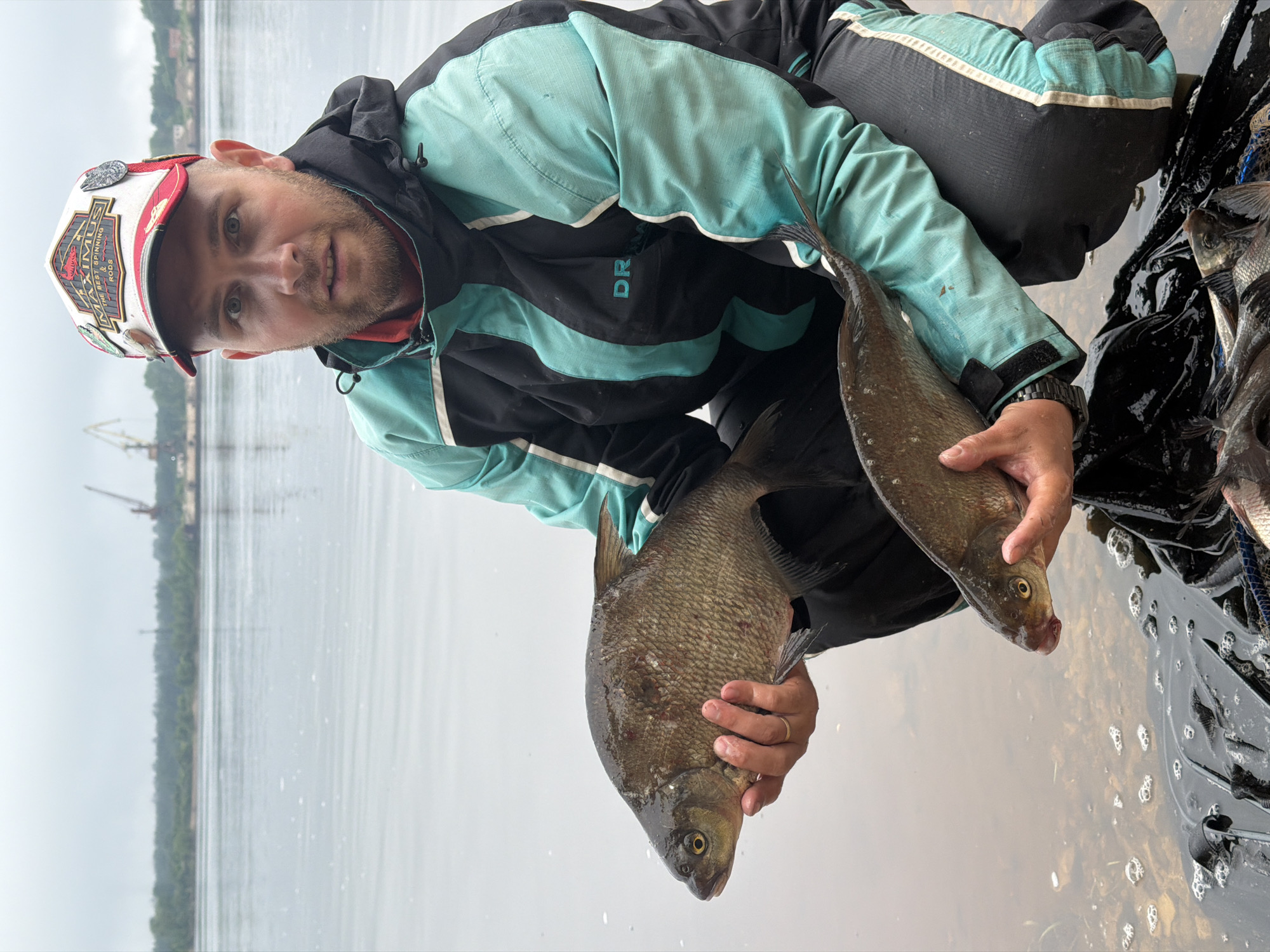 A man, appearing to be a fisherman, is captured mid-shot, kneeling or squatting in shallow water. He proudly displays two medium-sized fish, likely bream, holding one in each hand. His expression is neutral to slightly content as he looks directly at the camera.
He wears a two-tone jacket, primarily black with teal/mint green sections and white stripes, suggesting outdoor or fishing gear. A white, red, and black baseball cap adorns his head, featuring the prominent text "MAXIMUS" and smaller text "THE BEST OF SPINNING RODS". A partial "DR" is visible on his jacket. He has a dark-colored watch on his left wrist and a gold-toned wedding band on his left ring finger.
To his right, partially submerged in the water, is a black fishing net or bag containing additional fish. The water is calm, with subtle ripples reflecting the overcast sky. In the background, a wide body of water, likely a river or large lake, stretches towards a distant treeline. Faint industrial structures, possibly cranes, can be seen on the far bank. The lighting suggests an overcast daytime, contributing to a muted color palette.
This scene depicts a successful fishing outing, likely in Chaikovsky, Russia, consistent with the industrial elements and large river characteristic of the Kama River.