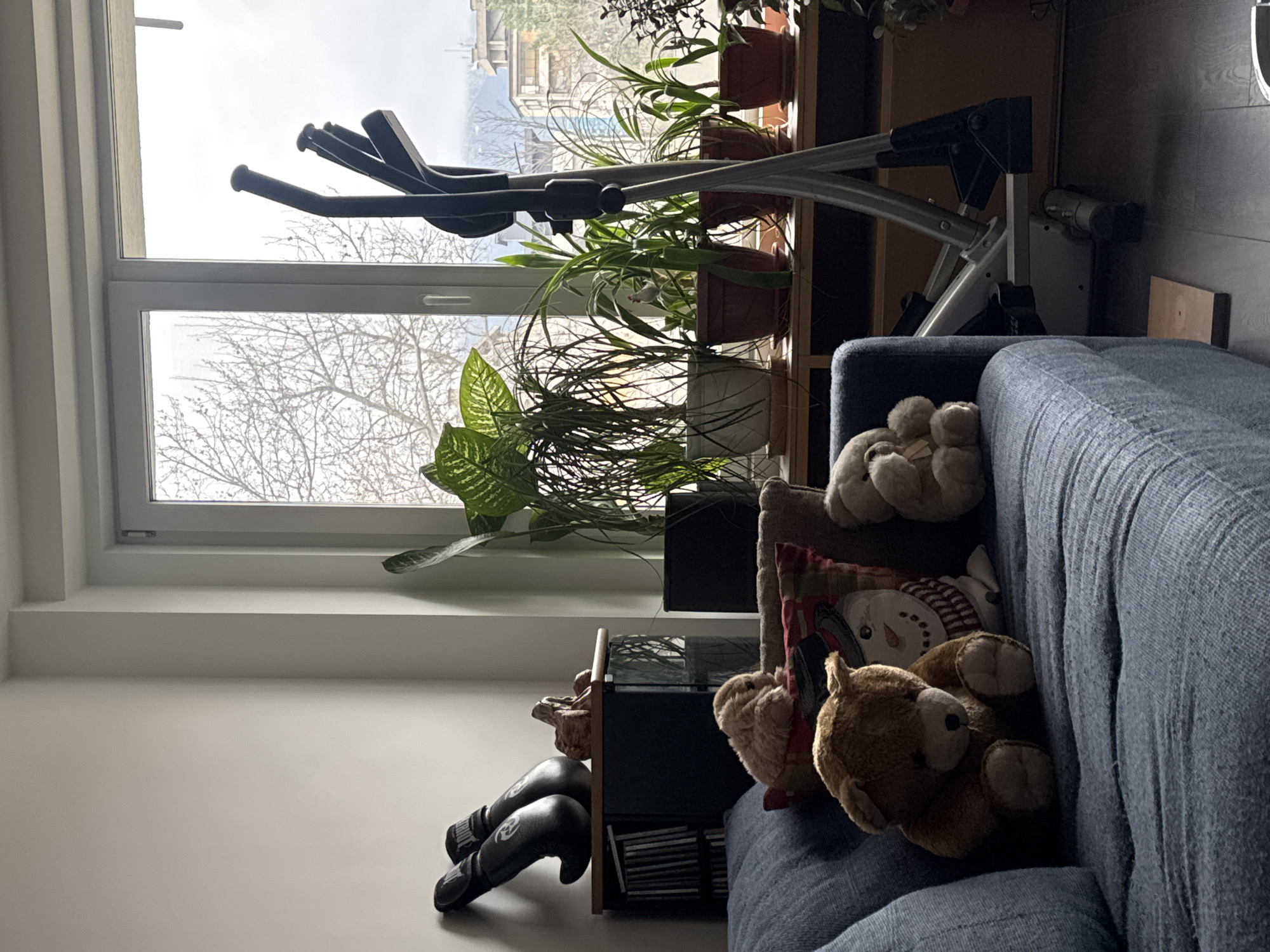 The interior scene depicts a living space in Sofia, Bulgaria, evidenced by the view through the window. Outside, bare trees are visible, along with buildings suggesting an urban residential area. Indoors, a stationary exercise bike stands near the window. Several potted plants are arranged on a shelf behind the bike. A blue sofa occupies the foreground, adorned with stuffed animals and a pillow. Boxing gloves sit on the floor beside a small black cabinet filled with CDs.