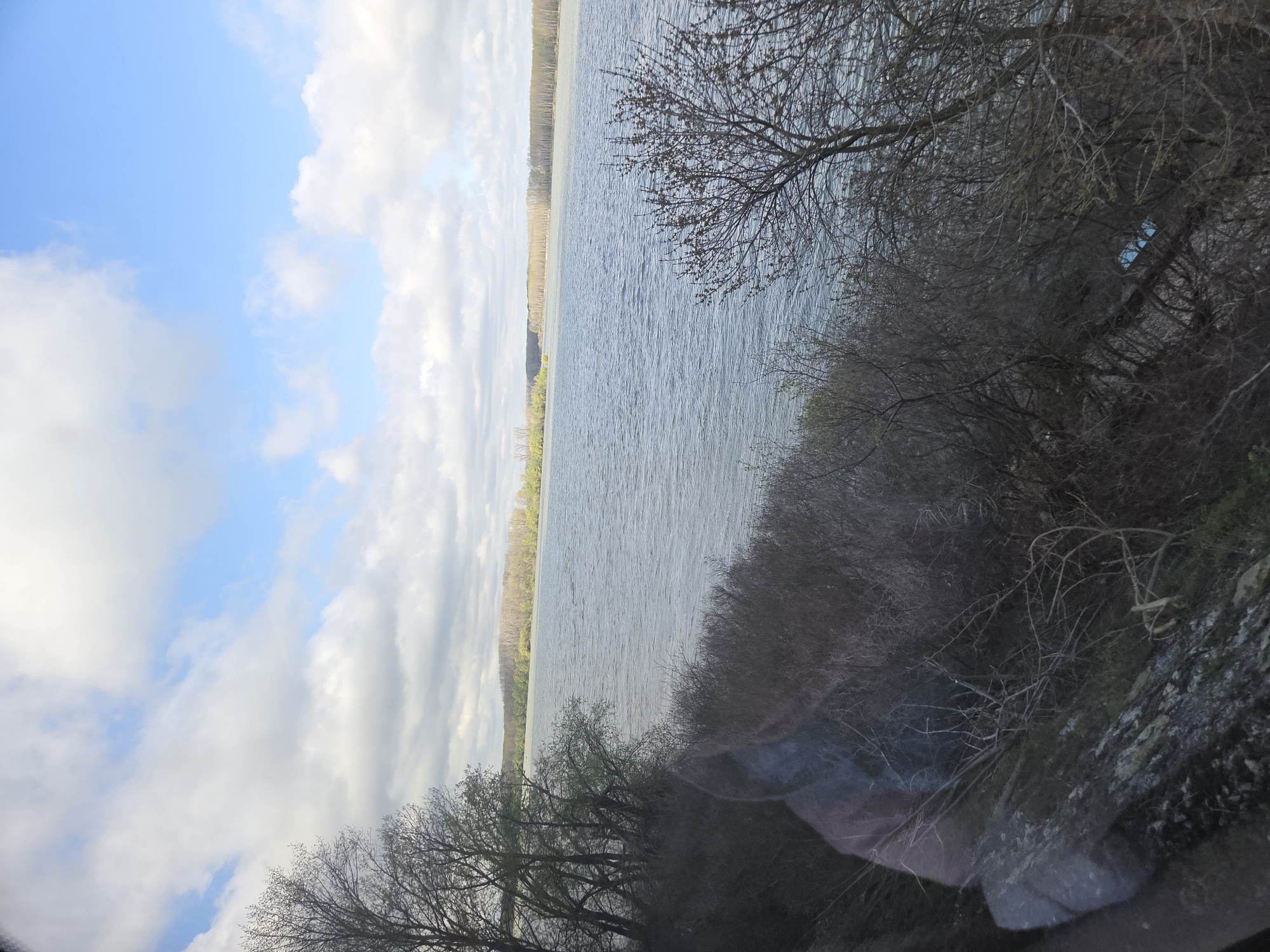 The image depicts a body of water in Somovit, Bulgaria. In the background of the image, a horizon line is visible, suggesting a shoreline or distant landmass. The sky overhead is blue with numerous white clouds. In the foreground are bare trees and brush. A rocky area is visible in the bottom-right corner.