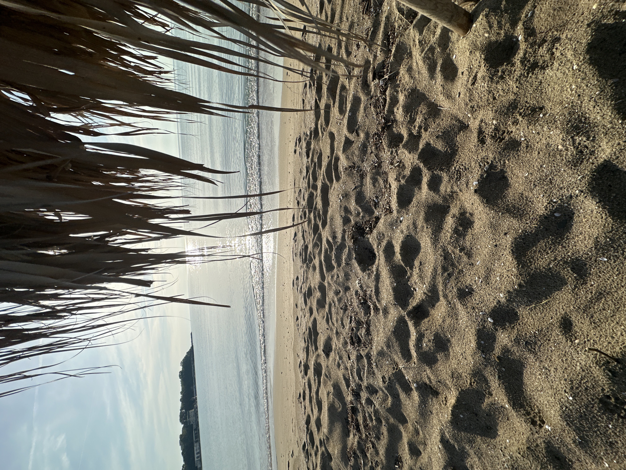 The image captures a beach scene from a low, tilted perspective, partially obscured by the fronds of a thatched structure, presumably a beach umbrella or hut. The focus is divided between the sandy foreground and the ocean view beyond.
The sand is coarse and textured, marked by numerous footprints and shadows that suggest recent human activity. Small shells and debris are visible, scattered across the sand's surface.
Beyond the sand, the sea meets the shore with gentle waves. The water appears calm, reflecting the sunlight with a bright glare. In the distance, a coastline is visible, with vegetation covering the landmass. Some buildings are distinguishable along the shoreline.
The overall impression is that of a tranquil beach scene, possibly taken during the early morning or late afternoon due to the low angle of the sunlight. The precise location within the city of Unknown, Unknown, cannot be determined based solely on the visual information provided.