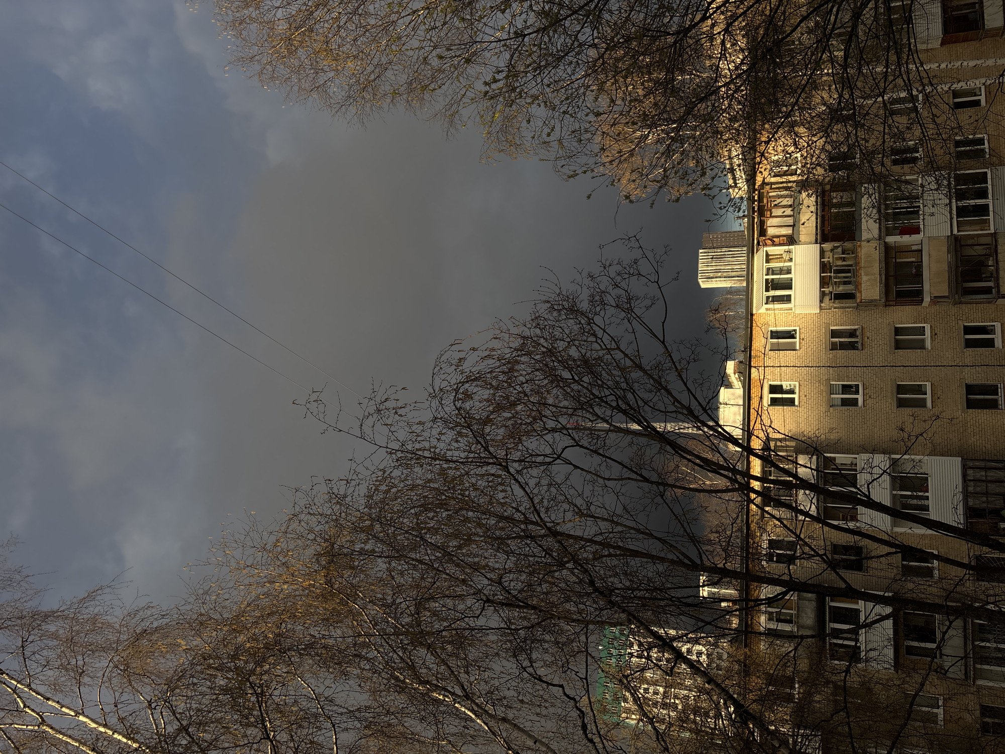 An urban scene, likely taken during late autumn or early spring in Perm, Russia, shows a multi-story apartment building against a dramatic, cloudy sky, framed by the bare branches of several trees. The apartment building, made of light-colored bricks, is positioned on the right side of the frame, bathed in warm, golden light from a low sun, which contrasts with the shaded areas of the building and the darker sky. It features numerous windows, many with white frames, and a variety of enclosed balconies and loggias, some appearing to be in disrepair or undergoing modification.
Bare, intricate tree branches, devoid of leaves, extend across the foreground, top, and bottom left of the image, some catching the same warm light as the building. The sky above is heavily overcast, ranging from a lighter, hazy gray-blue on the left to a darker, dense gray towards the right. Thin utility wires are visible stretching across the upper left portion of the sky. In the background, behind the main building, glimpses of other urban structures, including one possibly under construction with scaffolding or netting, can be seen. The overall impression is one of a cool, possibly windy, late afternoon or early evening. No visible text is present in the image.