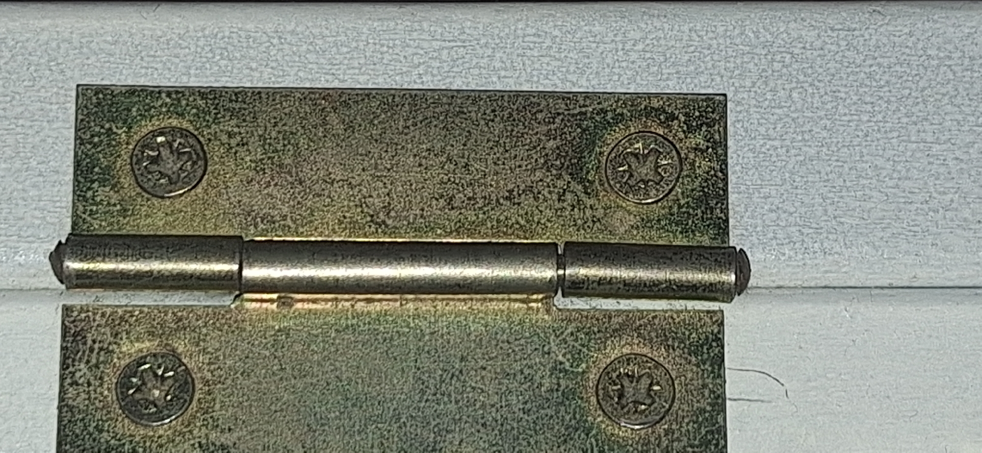 A close-up, eye-level, slightly tilted shot shows a brass door hinge on a white painted door. The hinge is partially open, revealing the cylindrical barrel that connects the two leaves. Both leaves of the hinge are secured to the door with visible screws. The left leaf of the hinge is attached to a door surface with a textured, possibly painted or wooden grain, appearance. Two Phillips head screws are visible on this leaf, each with a star-like pattern in the head. The right leaf of the hinge is attached to the door jamb, which has a white, textured, painted surface with vertical wood grain lines. One Phillips head screw is visible on this leaf, also with a star-like pattern. The lighting suggests an indoor environment, possibly during the day due to the reflective nature of the metal hinge and the shadows. There is no indication of the location in Bila Tserkva, Ukraine.