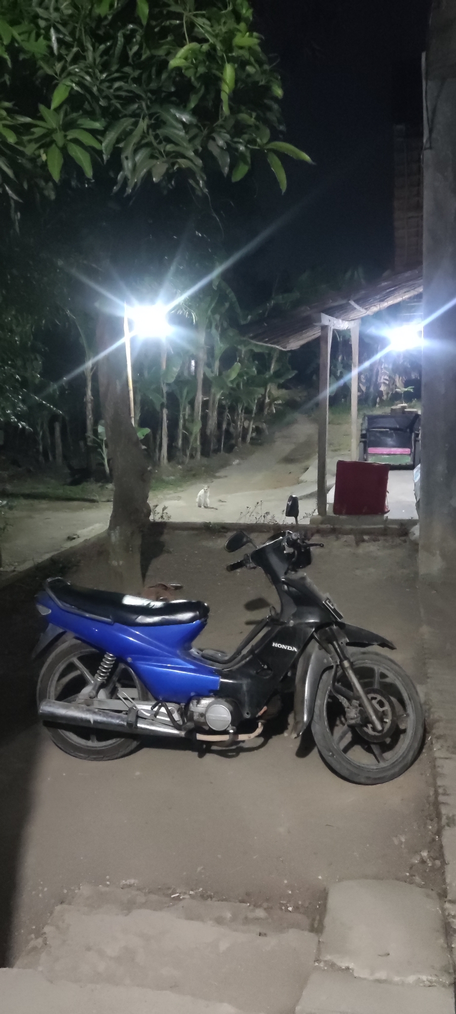 A blue and black Honda motorcycle is parked on a dirt and concrete ground at night in front of a simple structure with a thatched roof. The motorcycle is positioned at an angle, with its front wheel slightly turned. A white cat is visible in the background, standing on the dirt path near some banana trees. Two bright outdoor lights illuminate the scene, casting strong glare and shadows. The environment appears to be rural, possibly a residential area in Karangwangun, Indonesia, with vegetation and basic construction elements suggesting a modest dwelling.