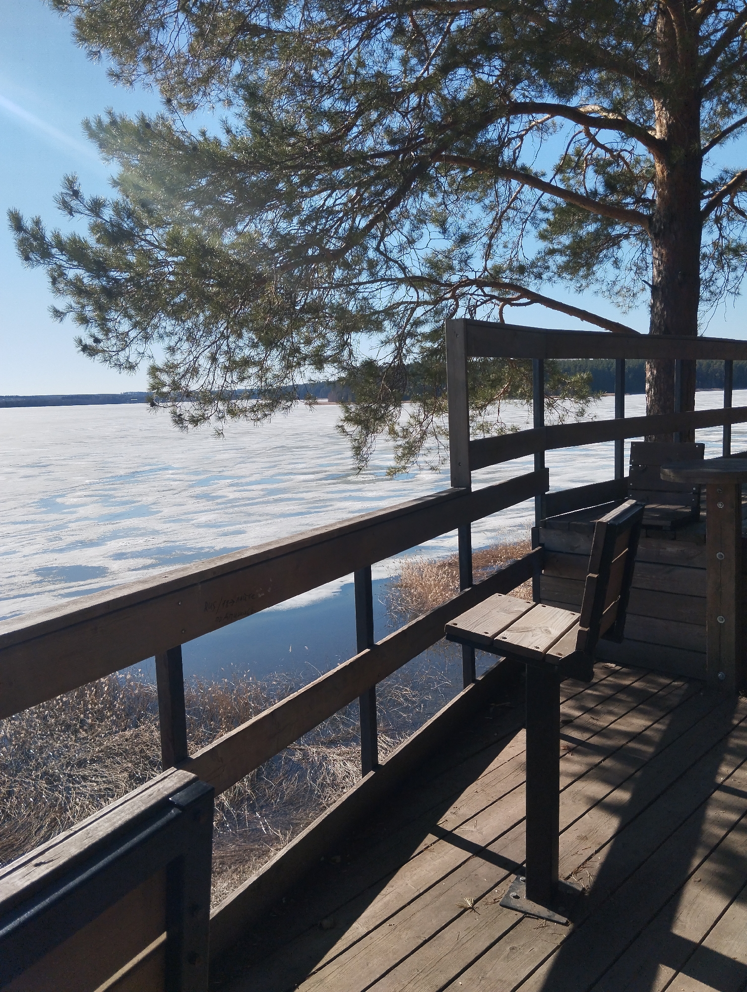 The image shows a wooden viewing platform overlooking a partially frozen lake in Votkinsk, Russia. The platform features a wooden railing, built-in seating, and a small table. A large pine tree grows through the platform, providing partial shade. In the background, a partially ice-covered lake extends towards the horizon, where a distant treeline is visible. The sky is blue and clear, with a hint of sunlight. Dry reeds and grasses are visible between the platform and the lake.