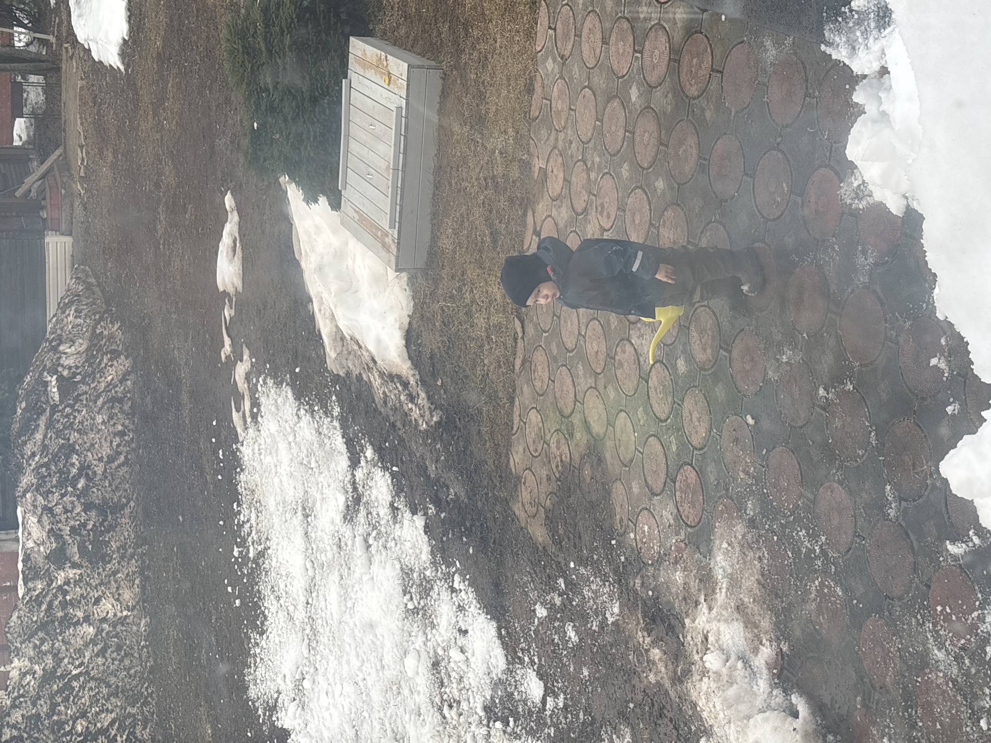 The scene, set in Ферма, Russia, depicts a young child standing outdoors on a wet paved surface adorned with circular reddish-brown tiles. The child, dressed in a black beanie, a dark blue or black padded winter jacket, dark pants, and dark boots, holds a yellow toy watering can in their right hand. The child is positioned slightly left of center, gazing to the left.
The immediate environment around the child features patches of melting snow and mud on the unpaved ground adjacent to the tiles. To the child's right and slightly behind, a light gray, rectangular wooden sandbox with a slatted lid is visible, situated near a compact evergreen bush. Beyond this, the ground is predominantly muddy earth with sparse brown vegetation, interspersed with scattered remnants of snow. Further into the background, large, dirty snowbanks line what appears to be the property boundary, with faint views of a wooden structure and bare trees behind them. The overall impression is of an early spring thaw, with significant snowmelt contributing to muddy conditions.