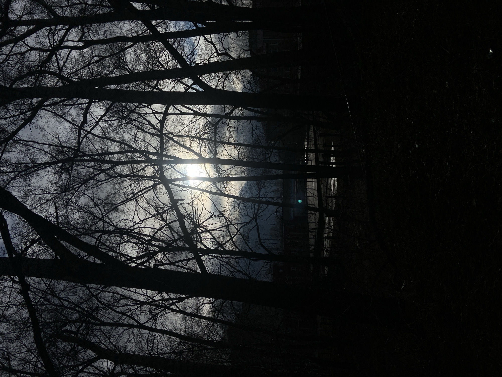 The image captures a high-contrast outdoor scene, presented on its side as if rotated 90 degrees clockwise. It depicts a view looking upwards through a dense network of bare tree branches, forming dark silhouettes against a bright, cloudy sky. The sun, appearing as an intensely bright, overexposed disc, is visible through a break in the clouds, creating a strong glare that illuminates the surrounding sky. The intricate, leafless branches suggest a winter or early spring setting in a temperate climate like Chaikovsky, Russia.
In the darker background, beyond the immediate tree line, faint outlines of what appear to be buildings or urban structures are partially discernible through the dense foliage and shadows. There are no people visible, and no specific activity is taking place; the image is a static landscape shot. The time of day seems to be daytime, likely morning or late afternoon, characterized by the sun's position and the dramatic backlighting. The overall mood is one of stark natural beauty, perhaps evoking feelings of quiet or contemplation. No text is visible in the media file.